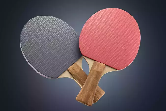 Table Tennis Paddle