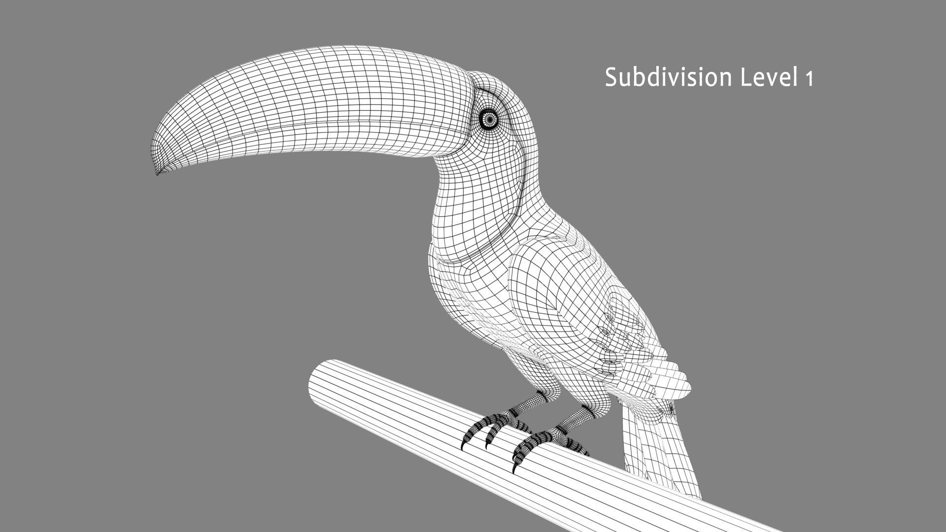Toucan A - Folded Wings 3D model_13