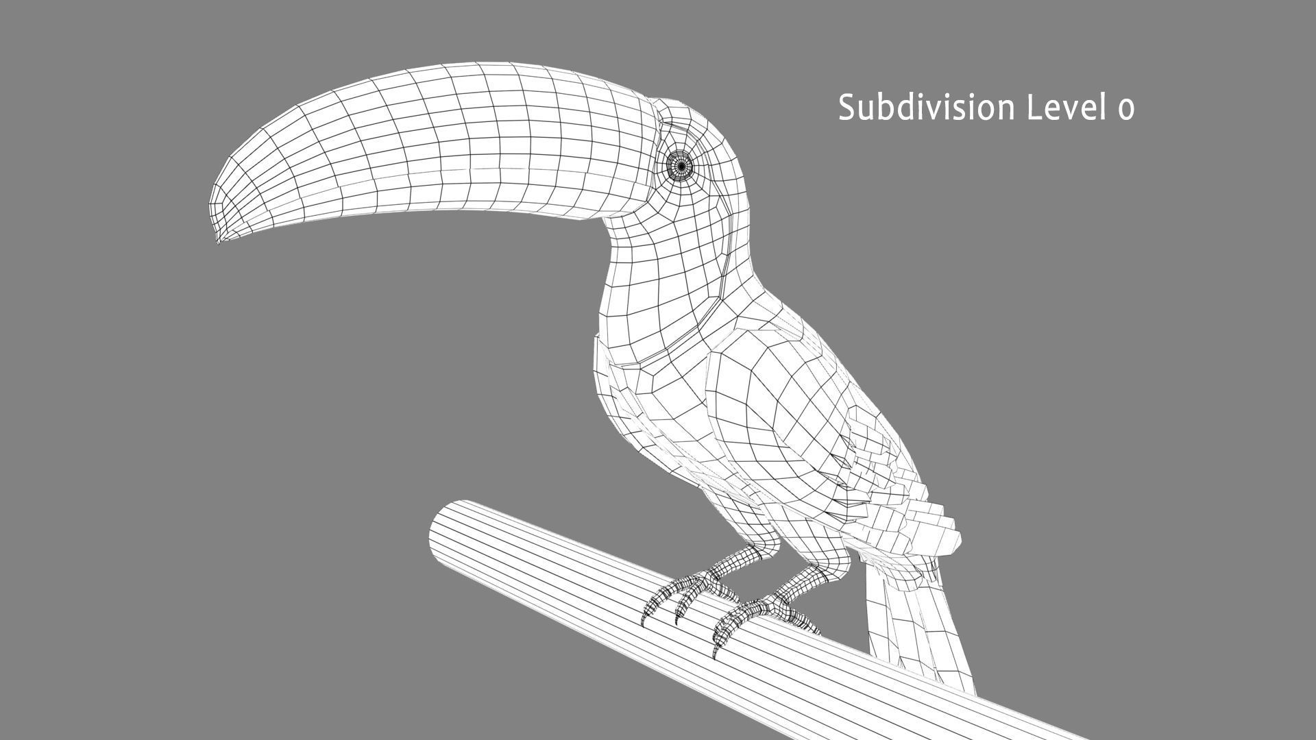Toucan A - Folded Wings 3D model_12