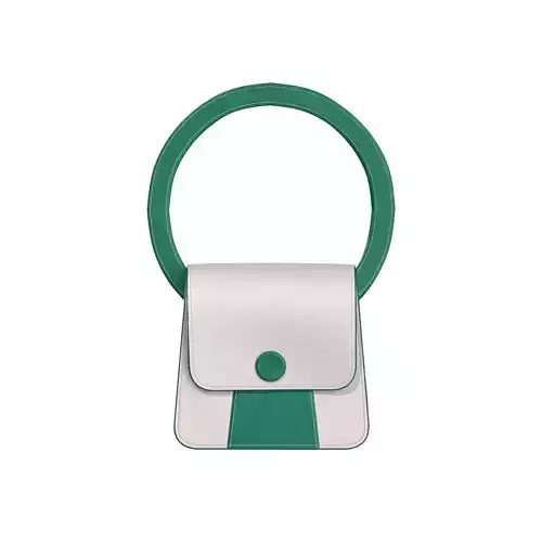 White Green Combo Leather Flap Bag