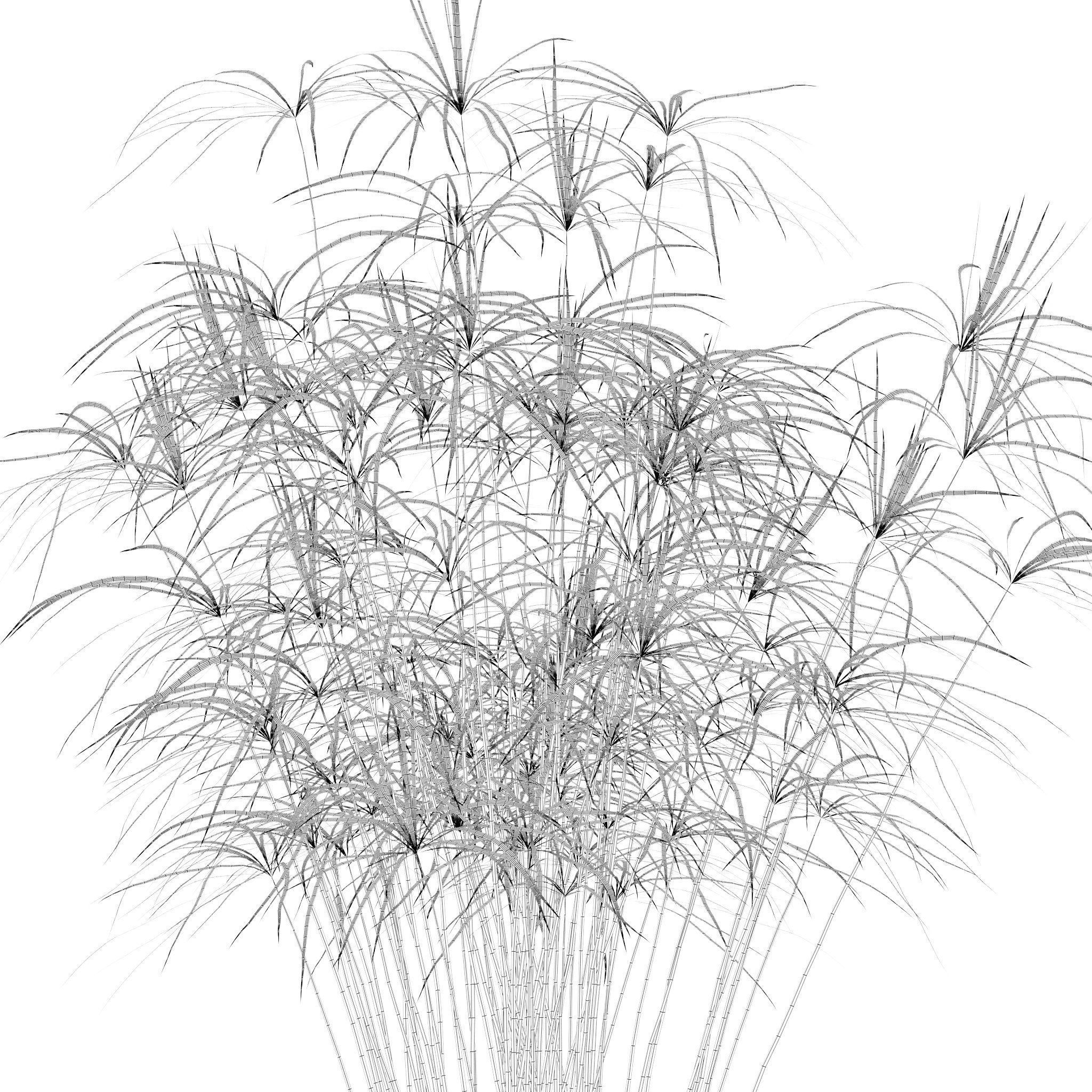 Plants collection 218 - palm grass cactus papirus 3D model_21
