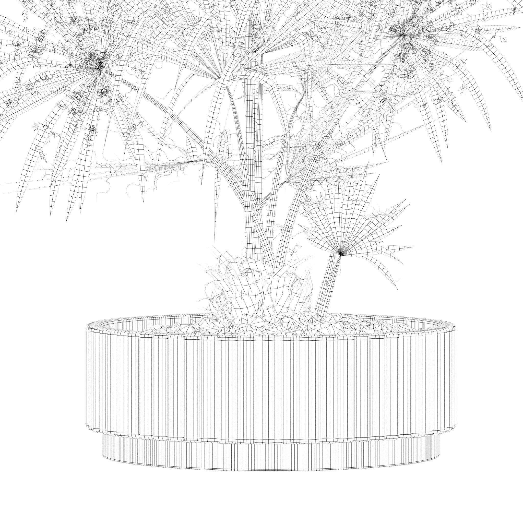 Plants collection 218 - palm grass cactus papirus 3D model_24