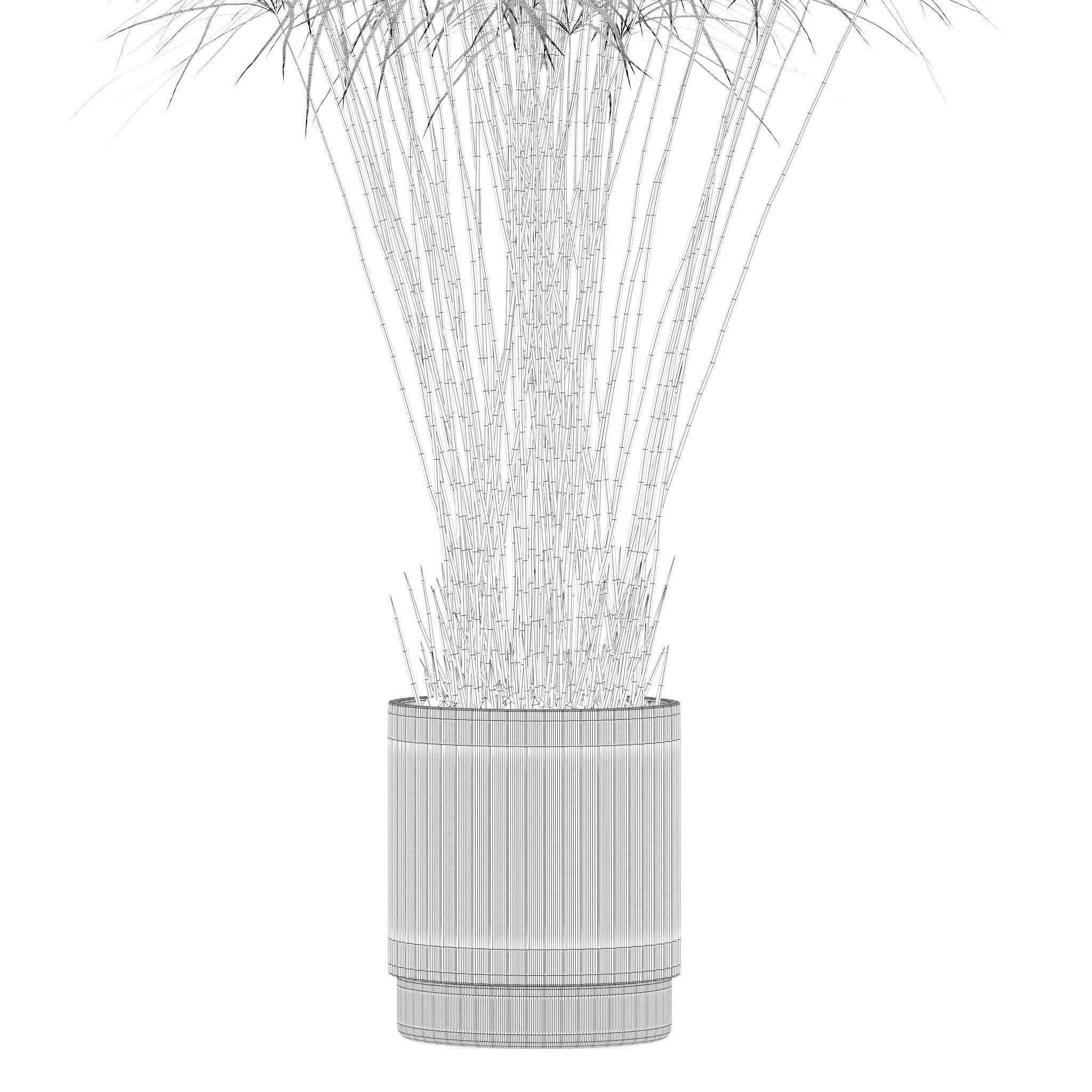 Plants collection 218 - palm grass cactus papirus 3D model_17
