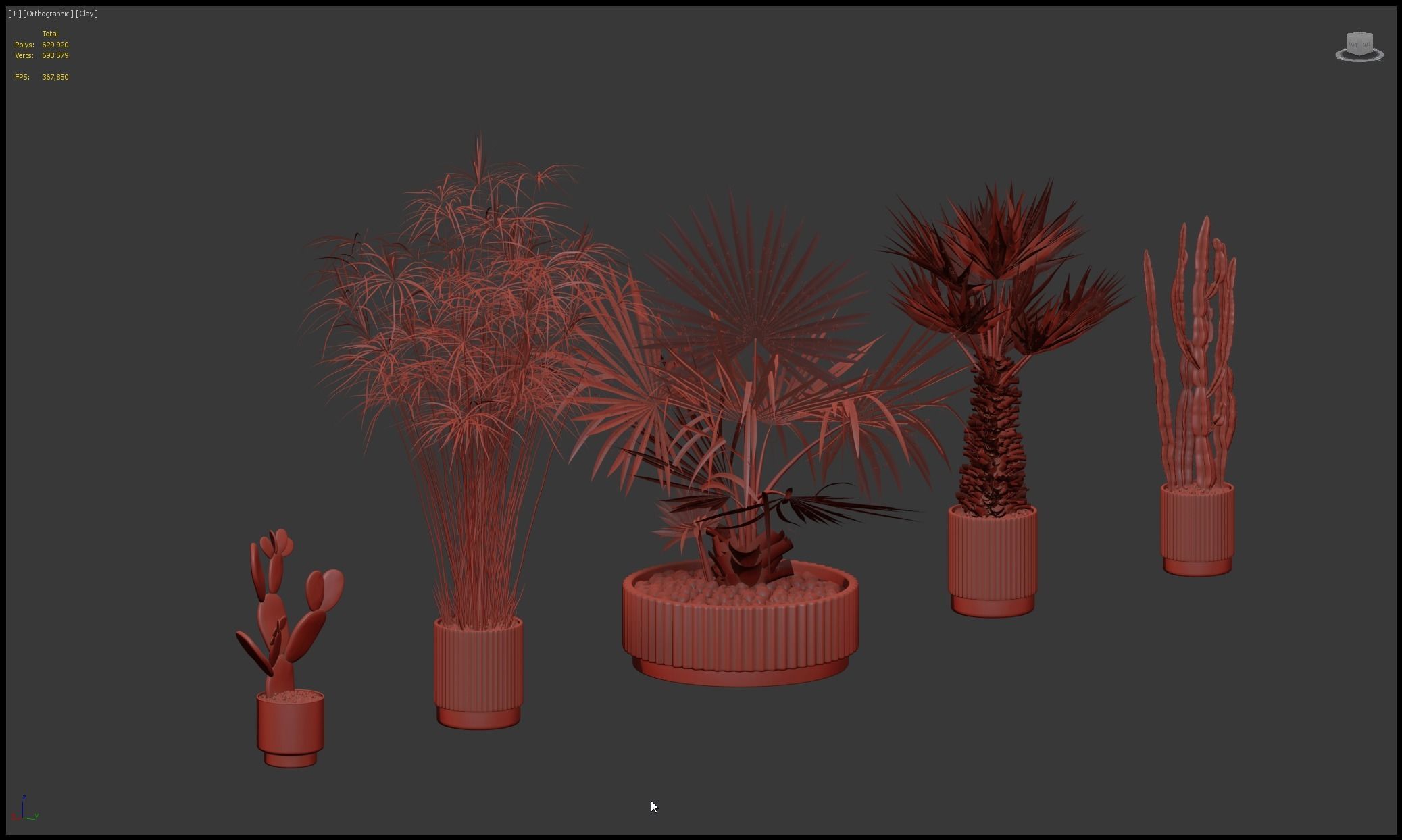 Plants collection 218 - palm grass cactus papirus 3D model_27