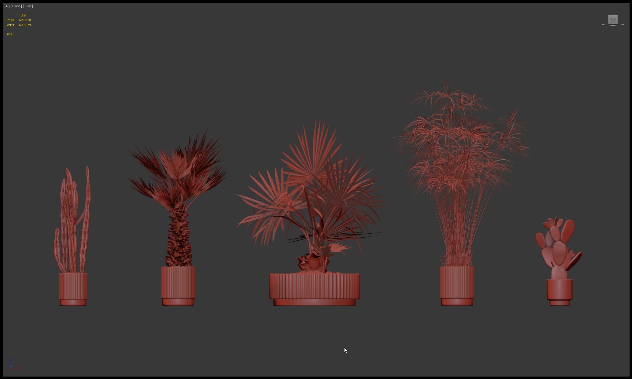 Plants collection 218 - palm grass cactus papirus 3D model_25