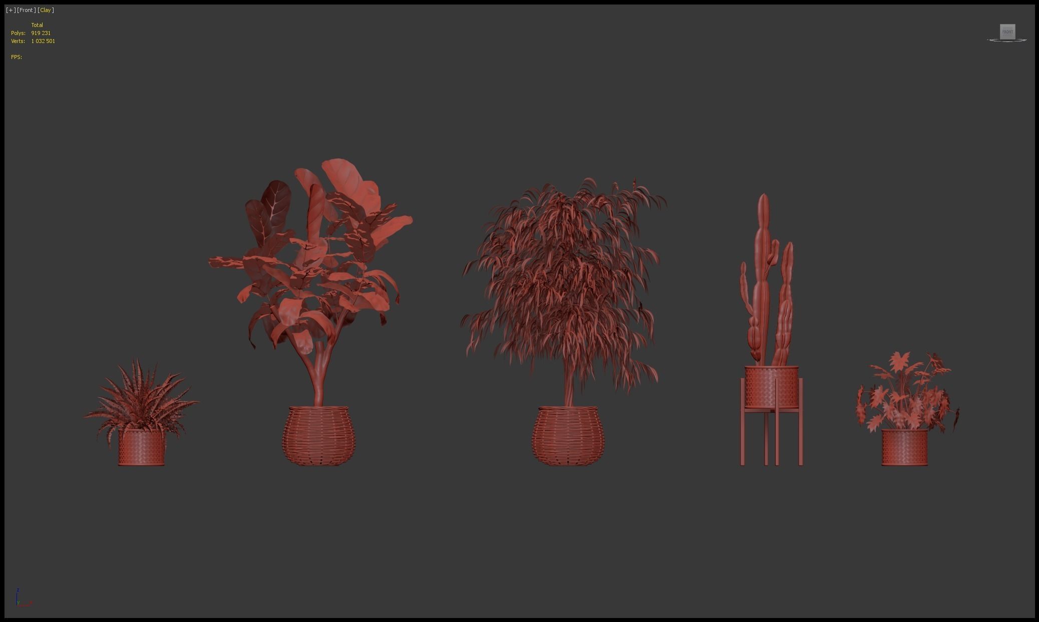 Plants collection 219 - fern ficus cactus philodendron ficus 3D model_27