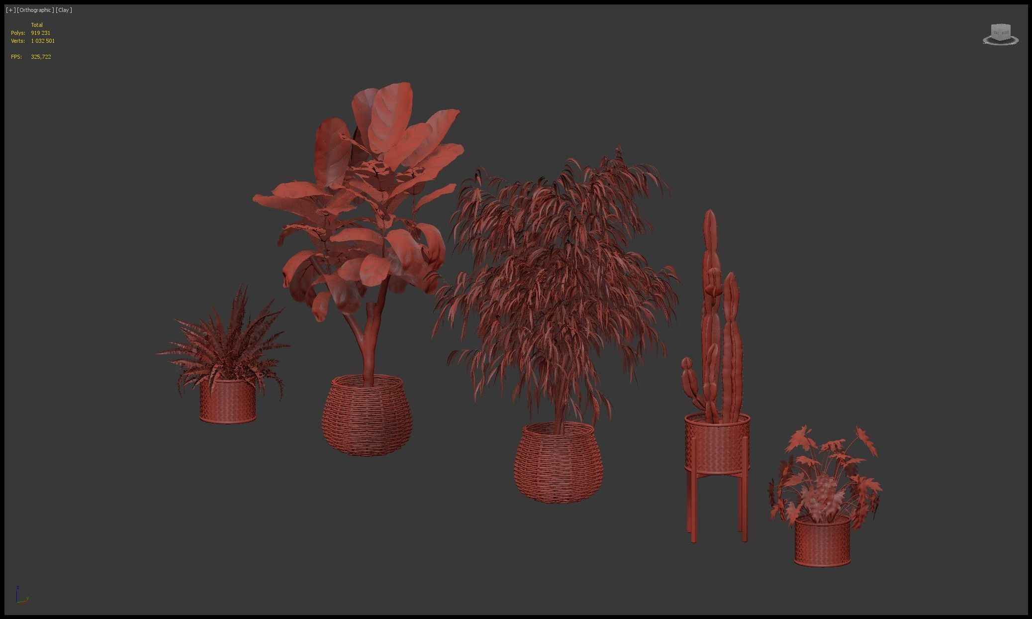 Plants collection 219 - fern ficus cactus philodendron ficus 3D model_26