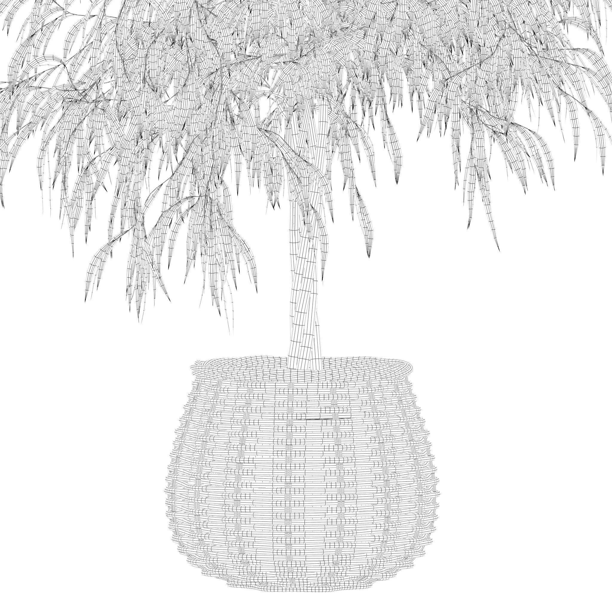Plants collection 219 - fern ficus cactus philodendron ficus 3D model_22