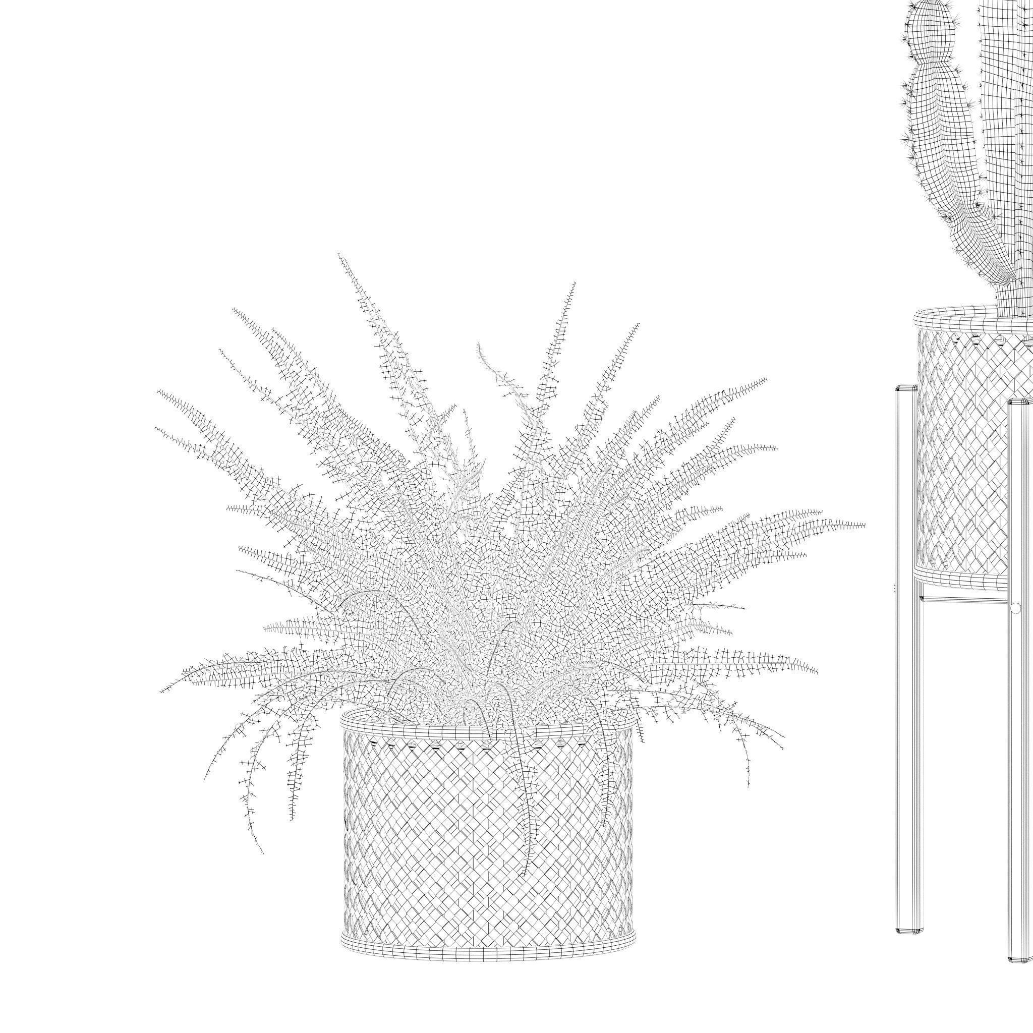 Plants collection 219 - fern ficus cactus philodendron ficus 3D model_18