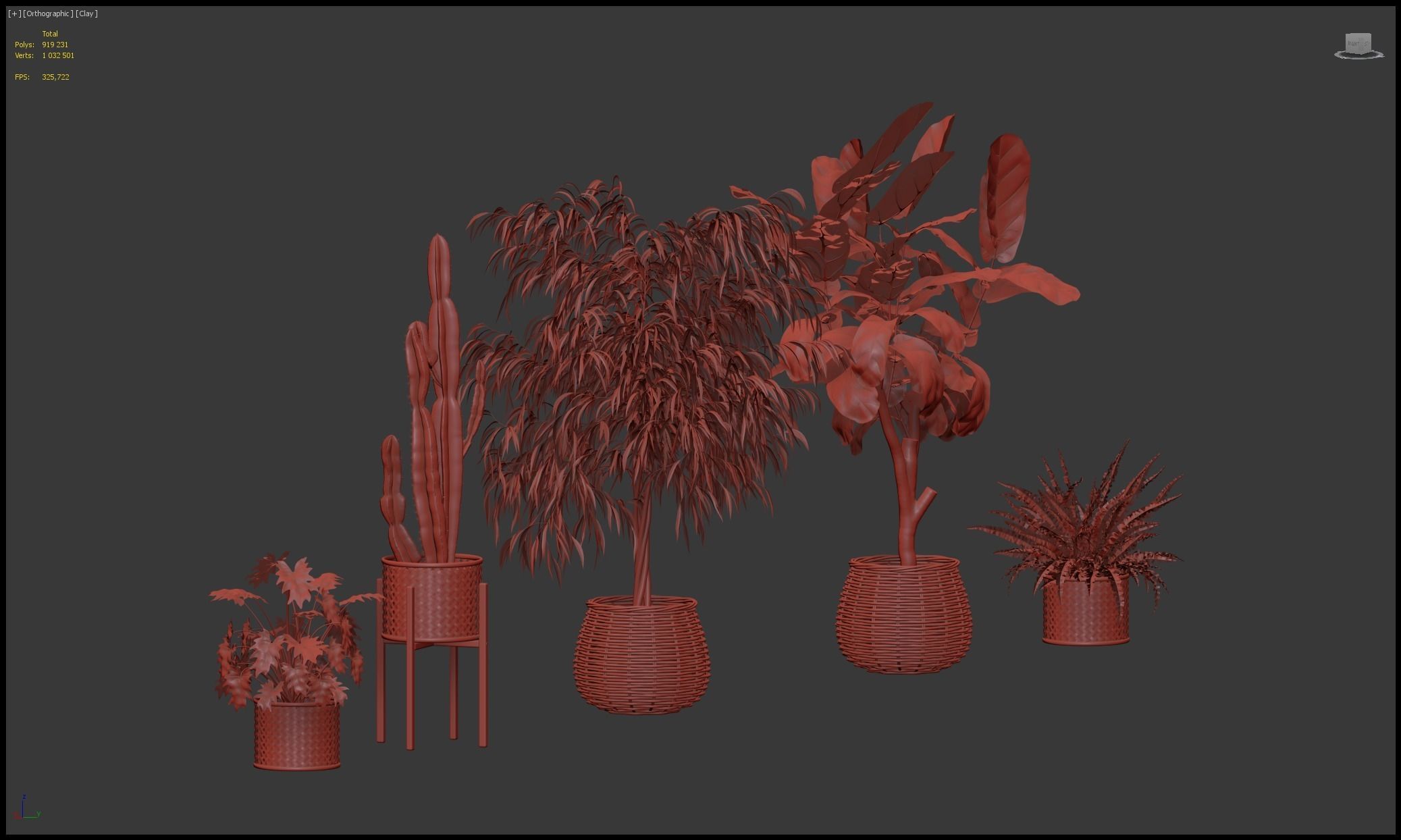 Plants collection 219 - fern ficus cactus philodendron ficus 3D model_25