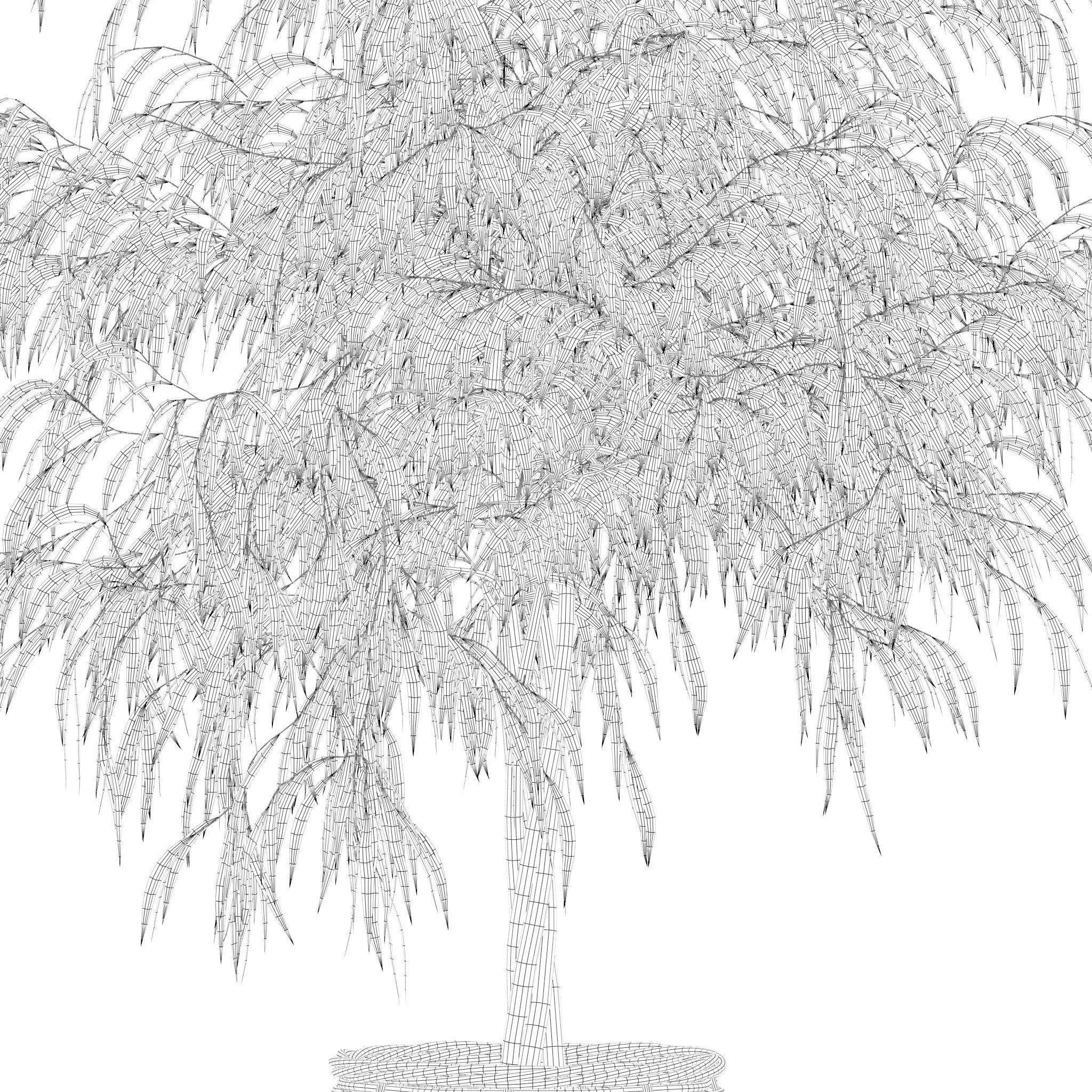 Plants collection 219 - fern ficus cactus philodendron ficus 3D model_21