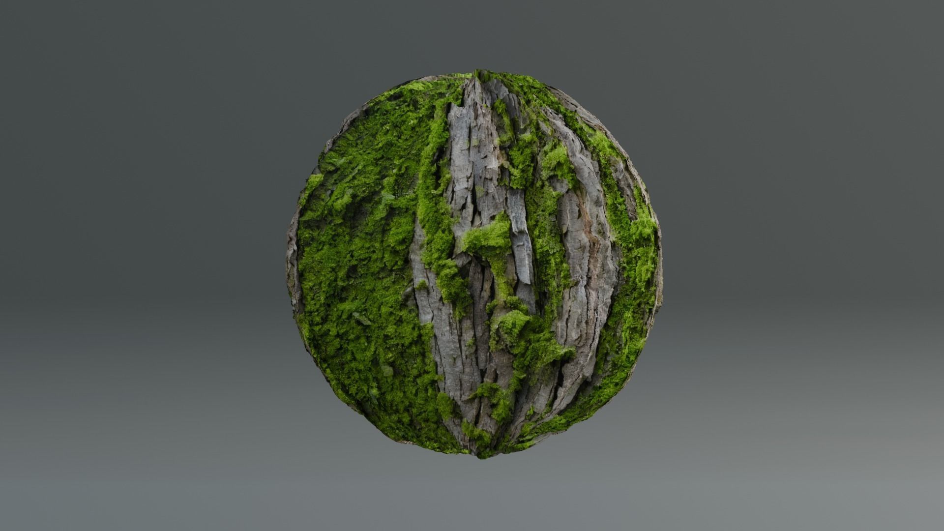 Bark03  1k 2k 4k Texture_2