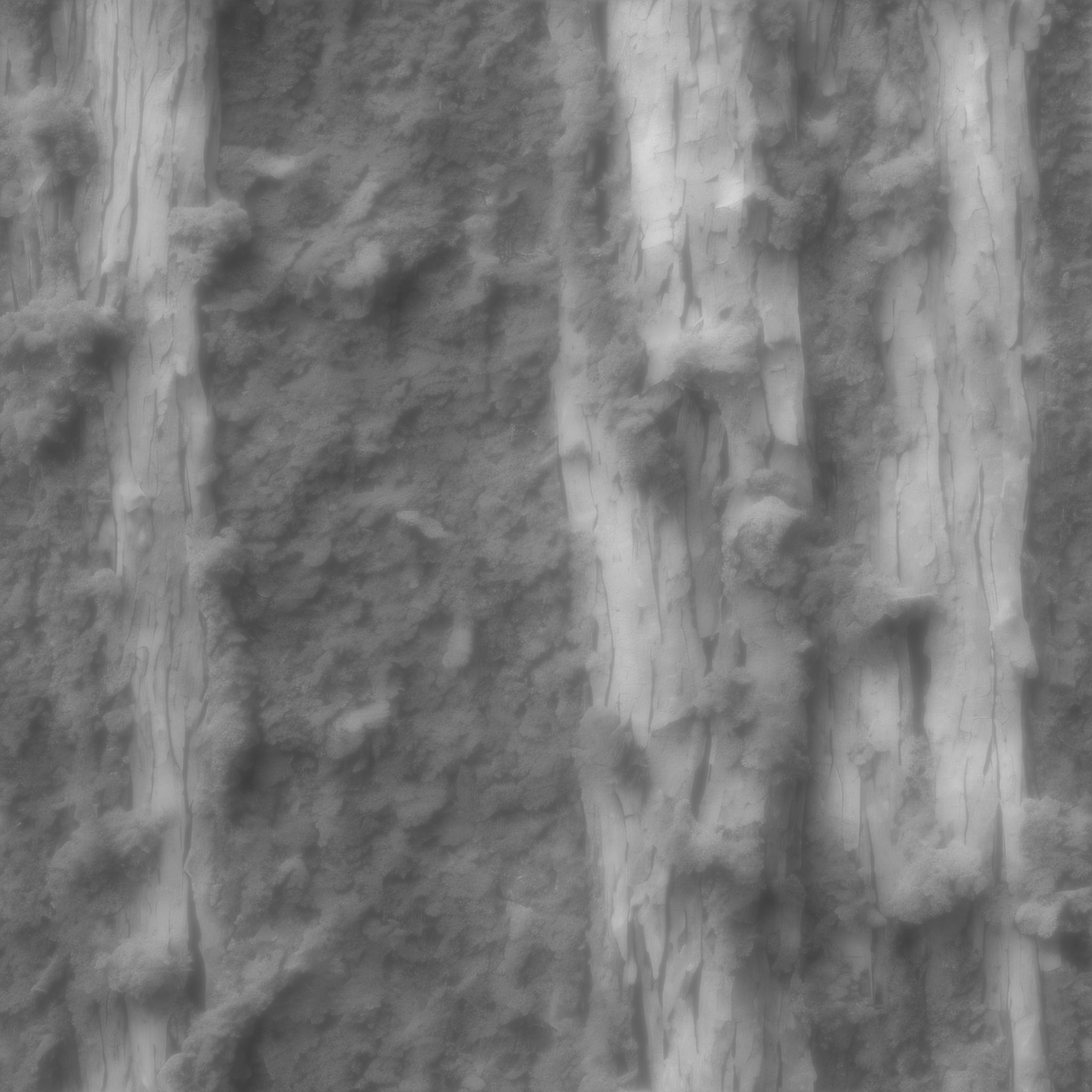 Bark03  1k 2k 4k Texture_4