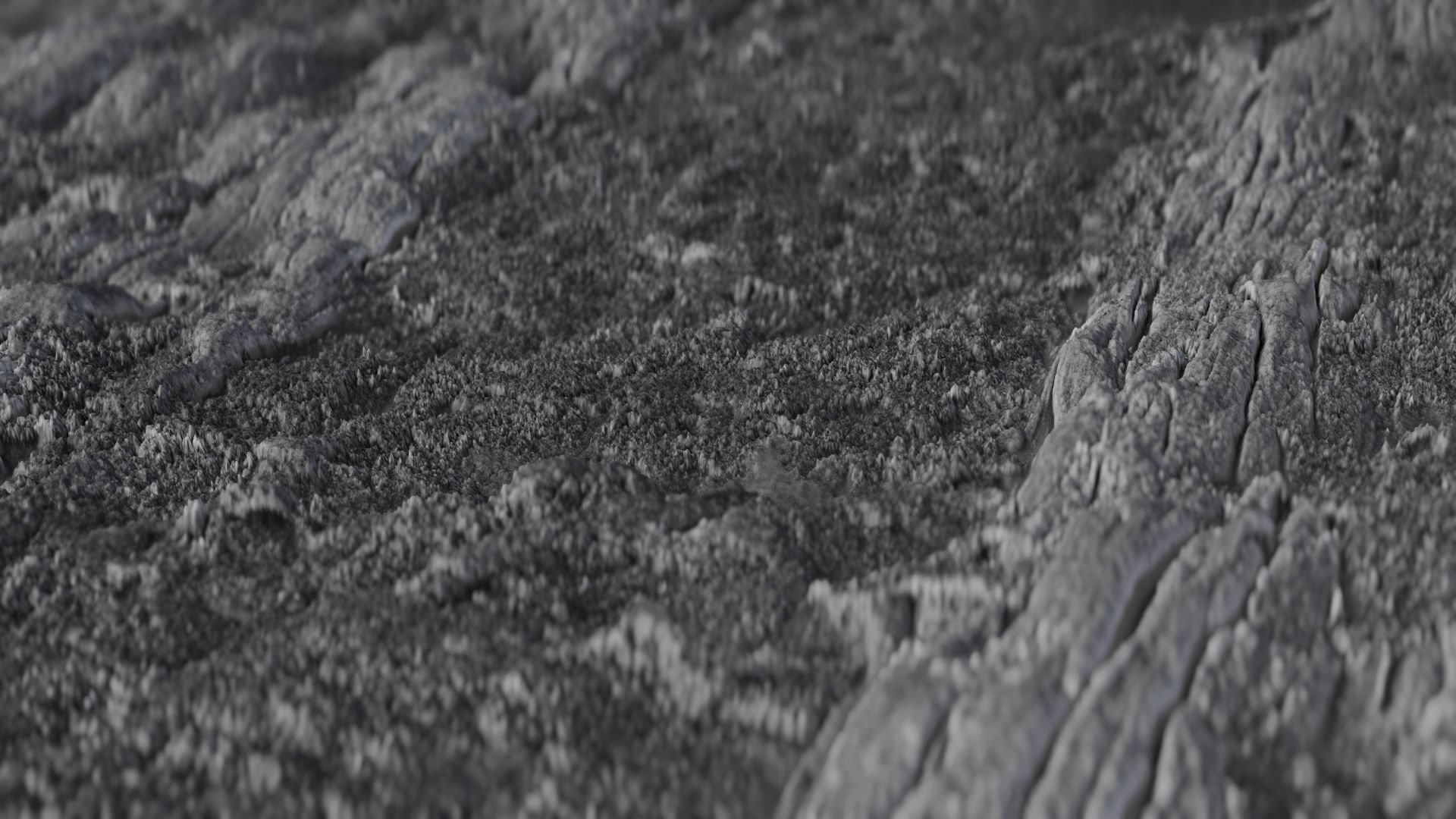 Bark03  1k 2k 4k Texture_1