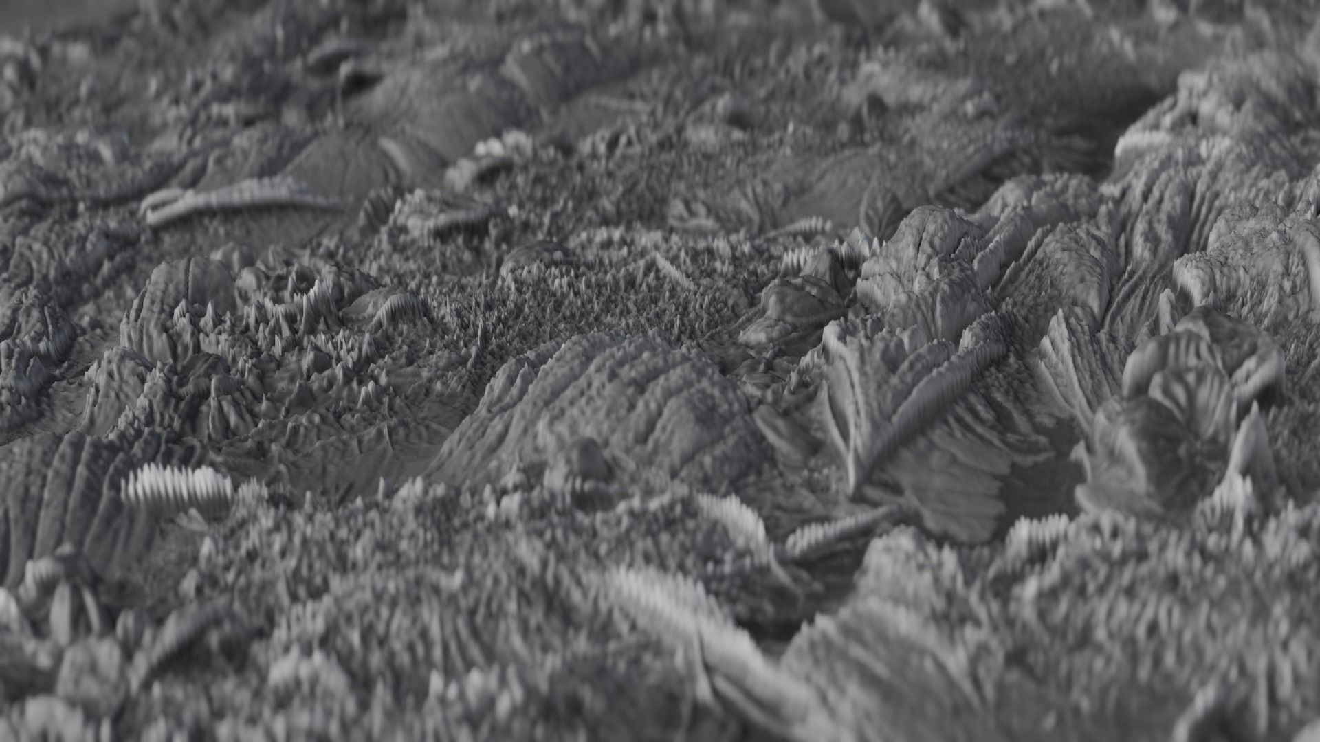 Bark04  1k 2k 4k  Texture_1