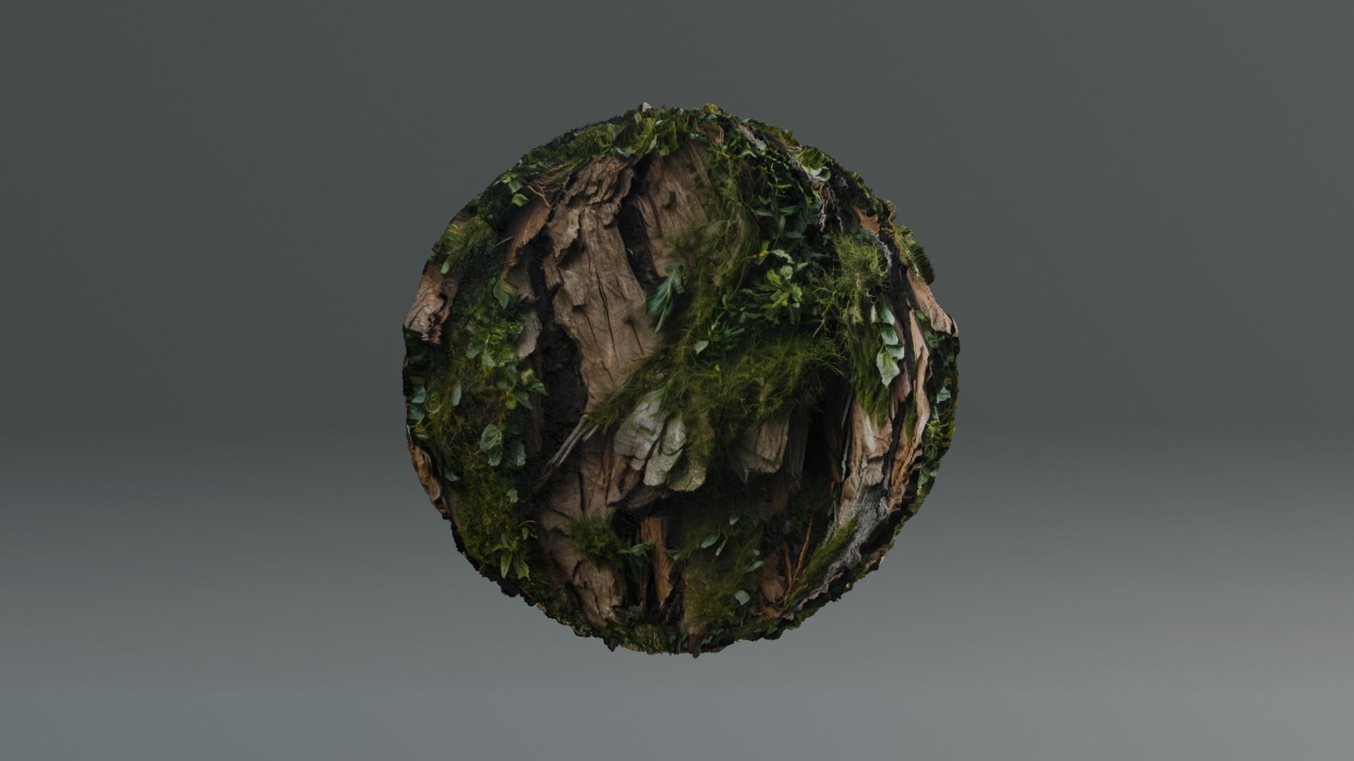 Bark04  1k 2k 4k  Texture_2