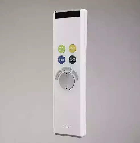 Light Remote Japanese