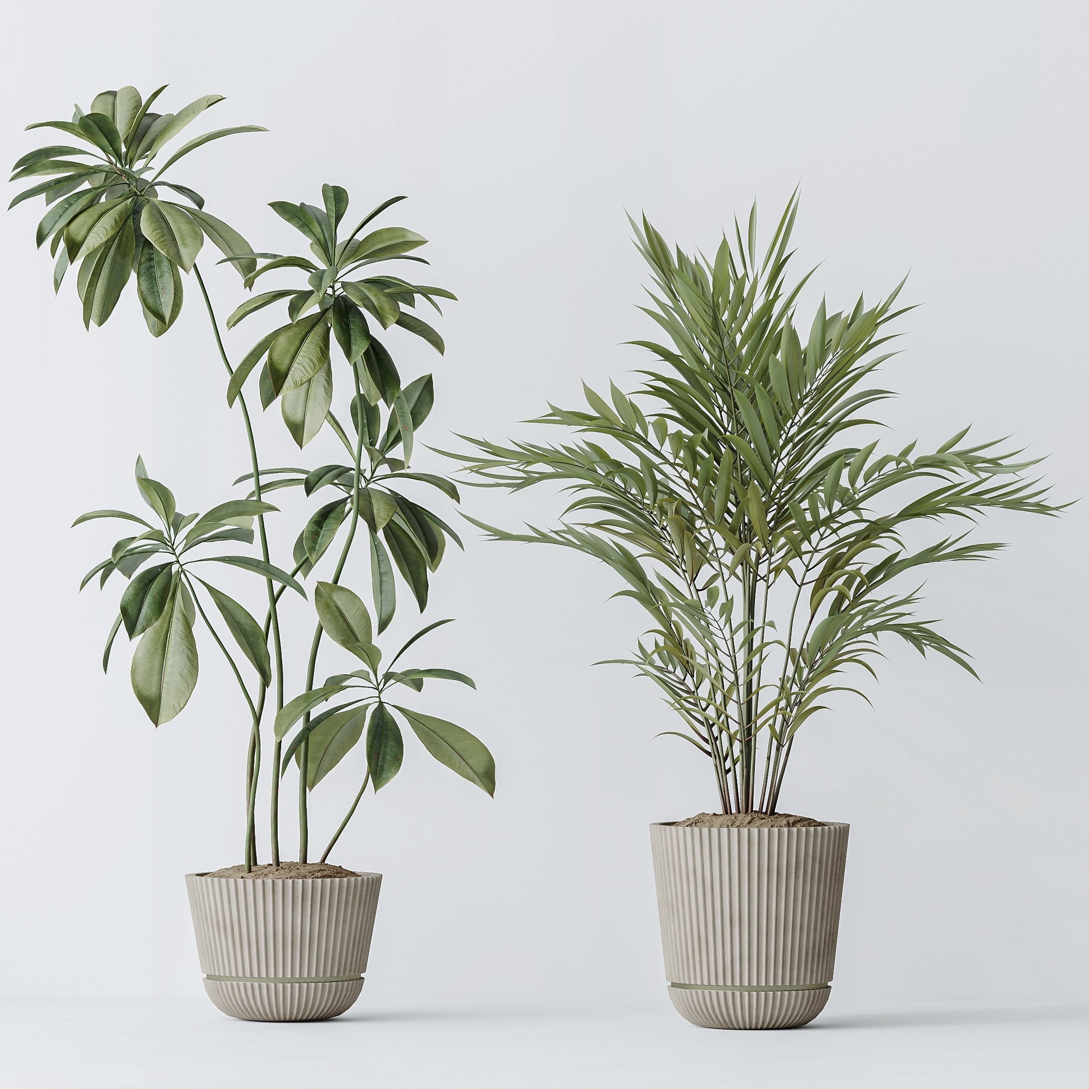 Indoor plants set 97 Dypsis Areca Palm and Spathiphyllum 3D model_4