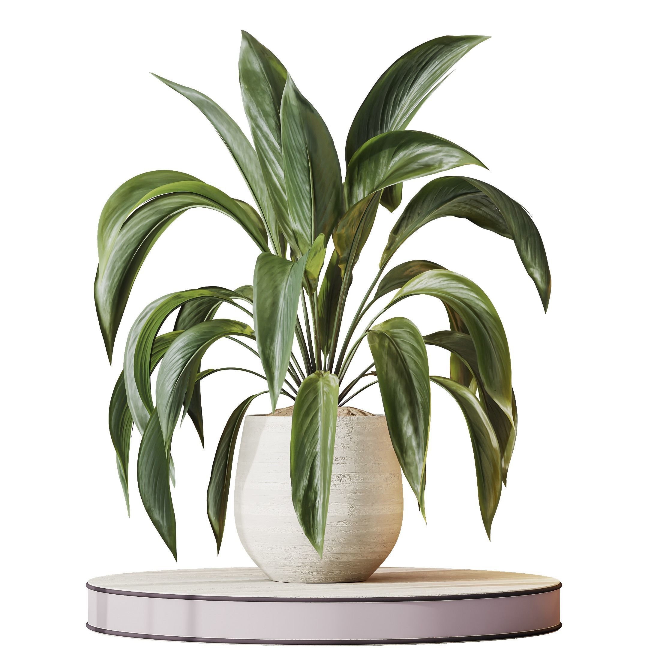 Indoor plants set 97 Dypsis Areca Palm and Spathiphyllum 3D model_3