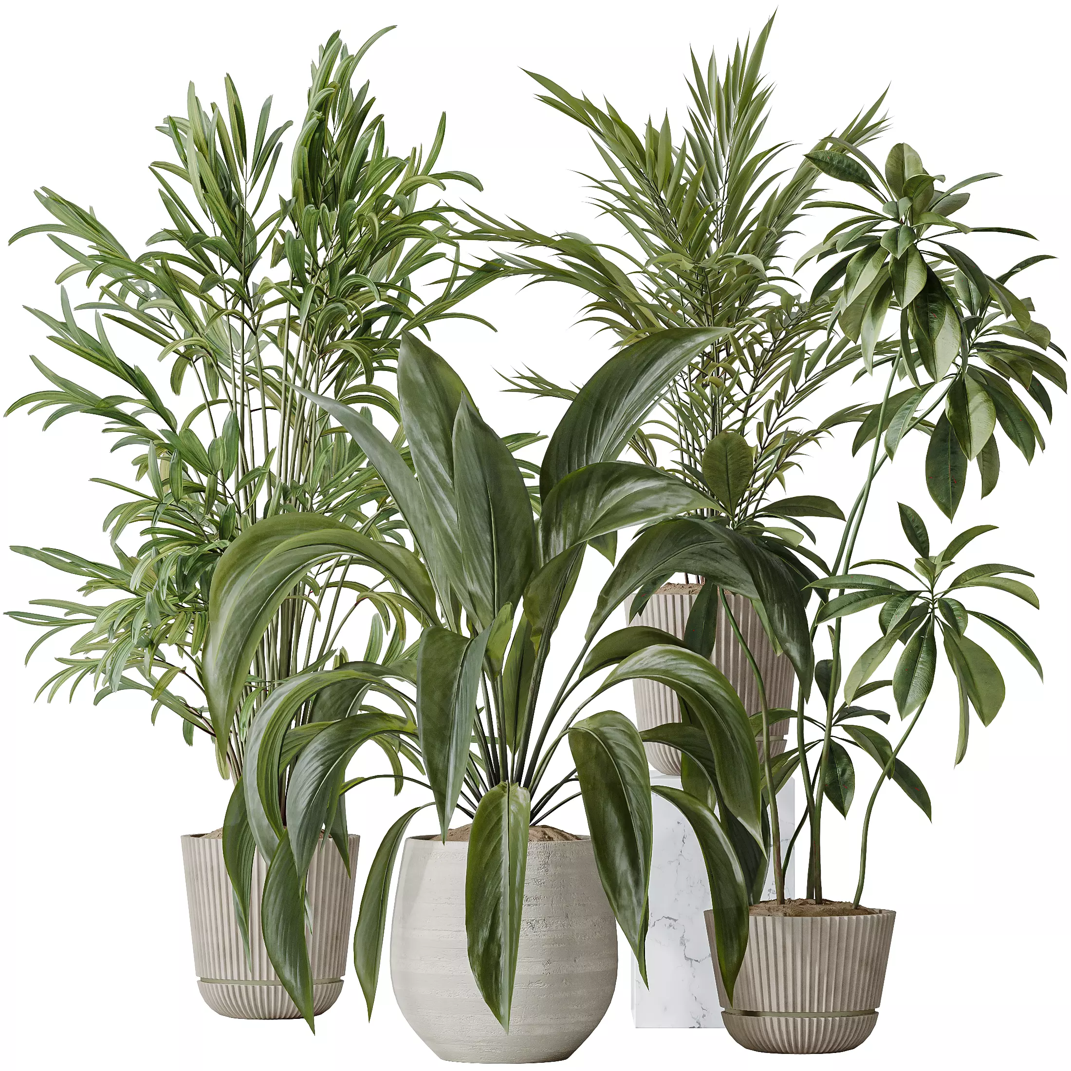 Indoor plants set 97 Dypsis Areca Palm and Spathiphyllum 3D model_0