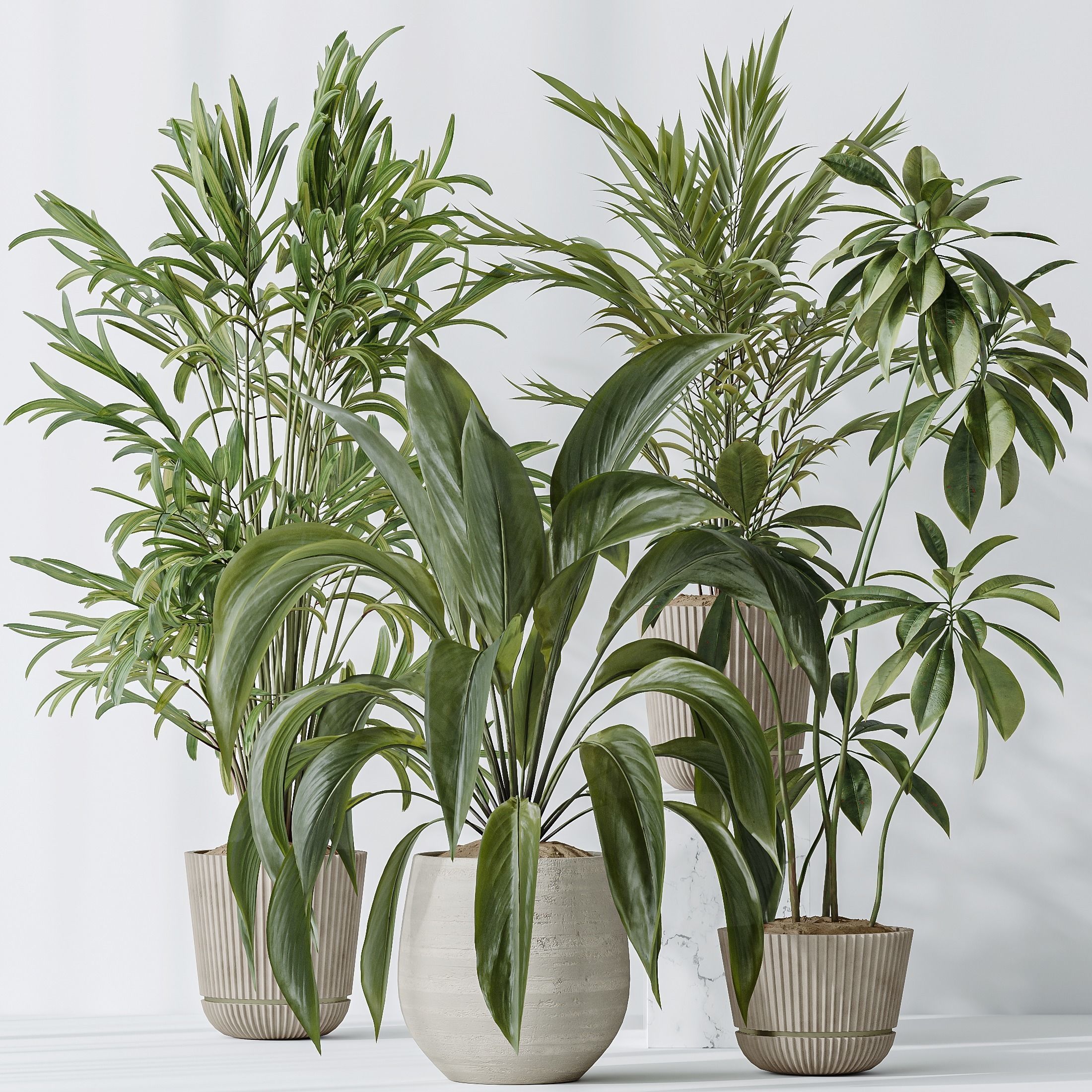 Indoor plants set 97 Dypsis Areca Palm and Spathiphyllum 3D model_1