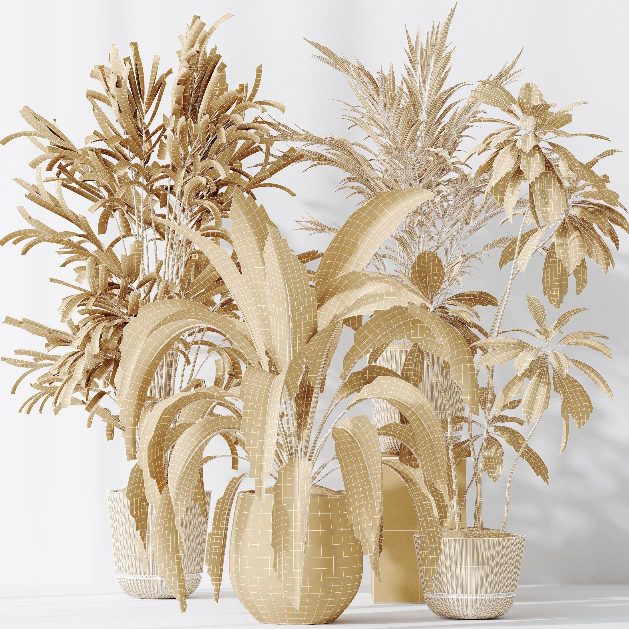 Indoor plants set 97 Dypsis Areca Palm and Spathiphyllum 3D model_5