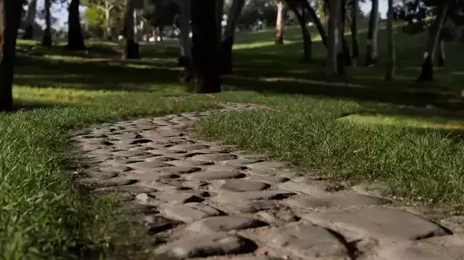 Garden Road Generator