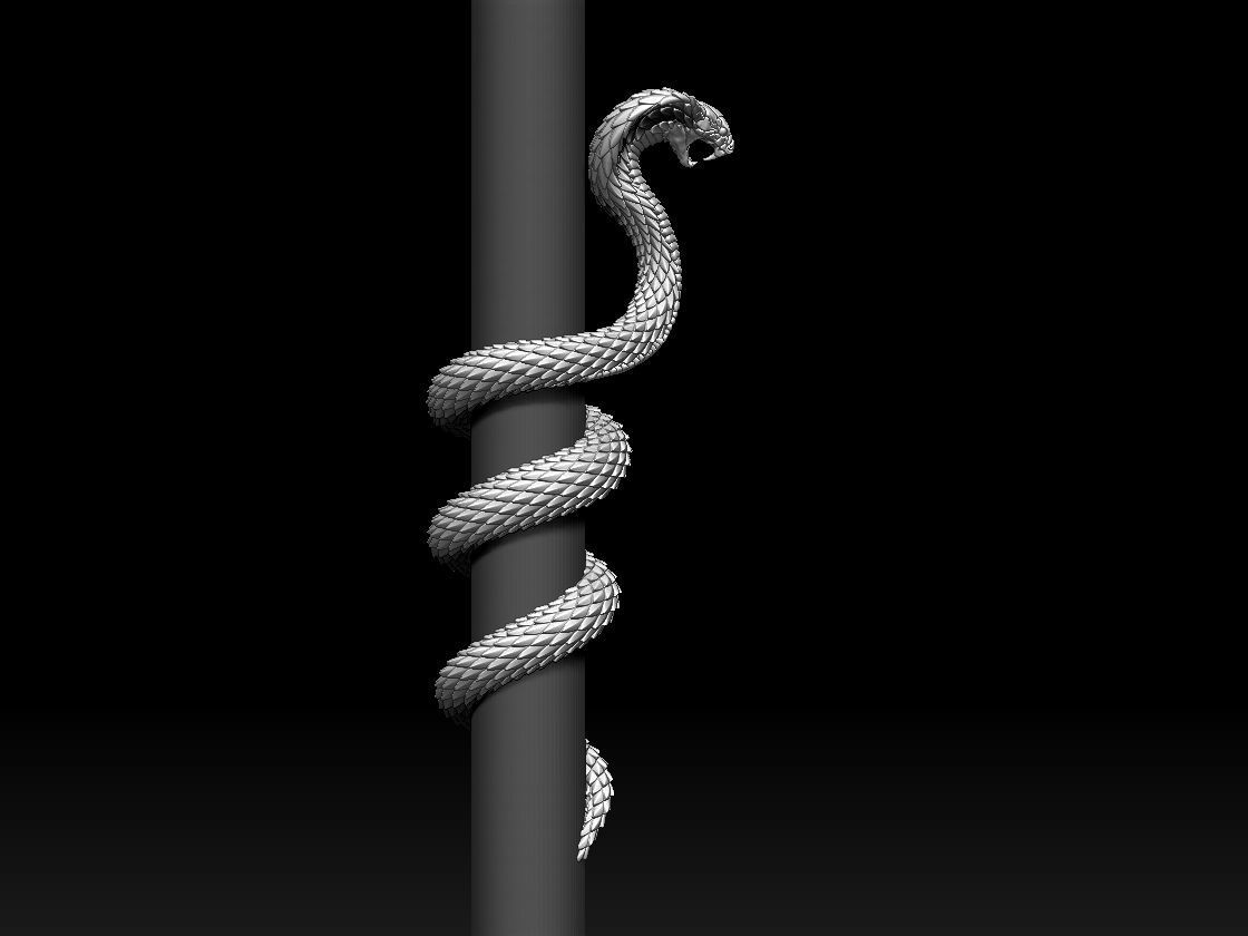 cobra snake 3D print model_16