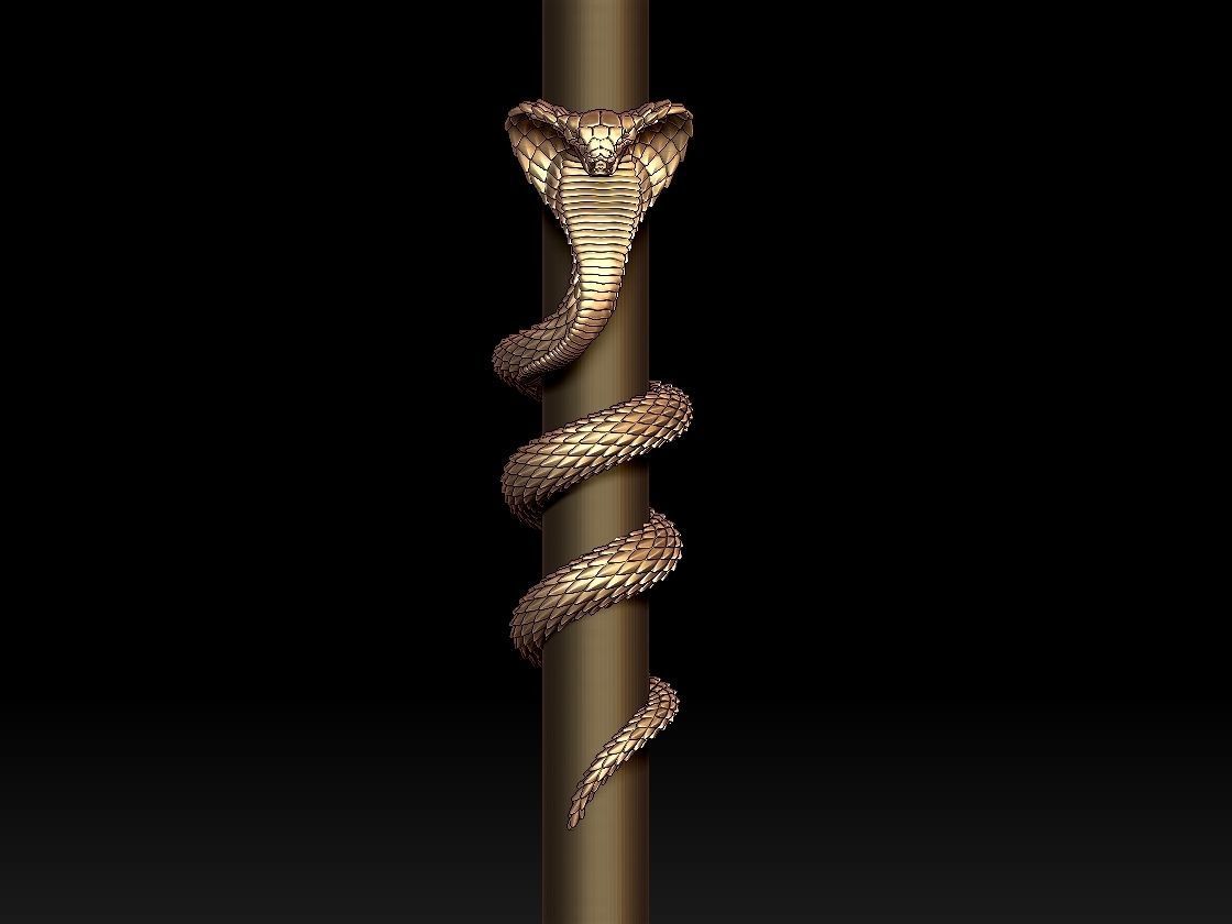 cobra snake 3D print model_28