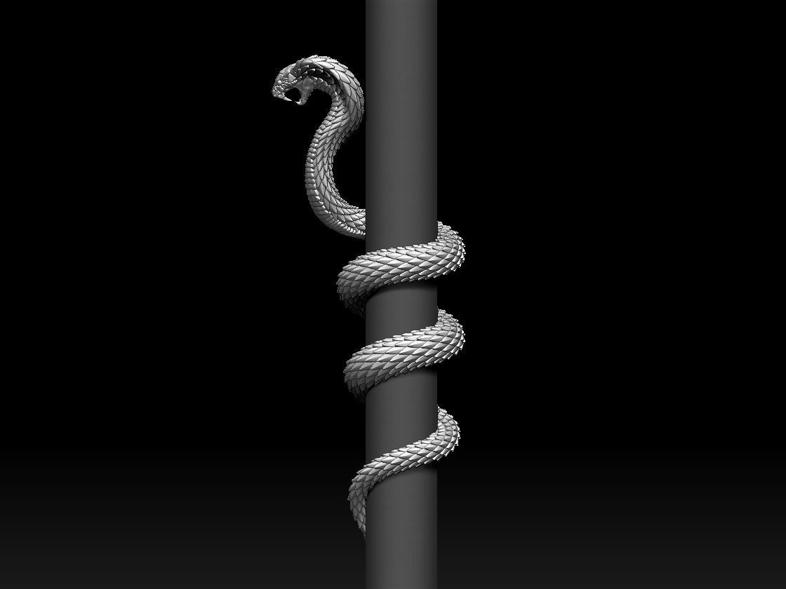 cobra snake 3D print model_31