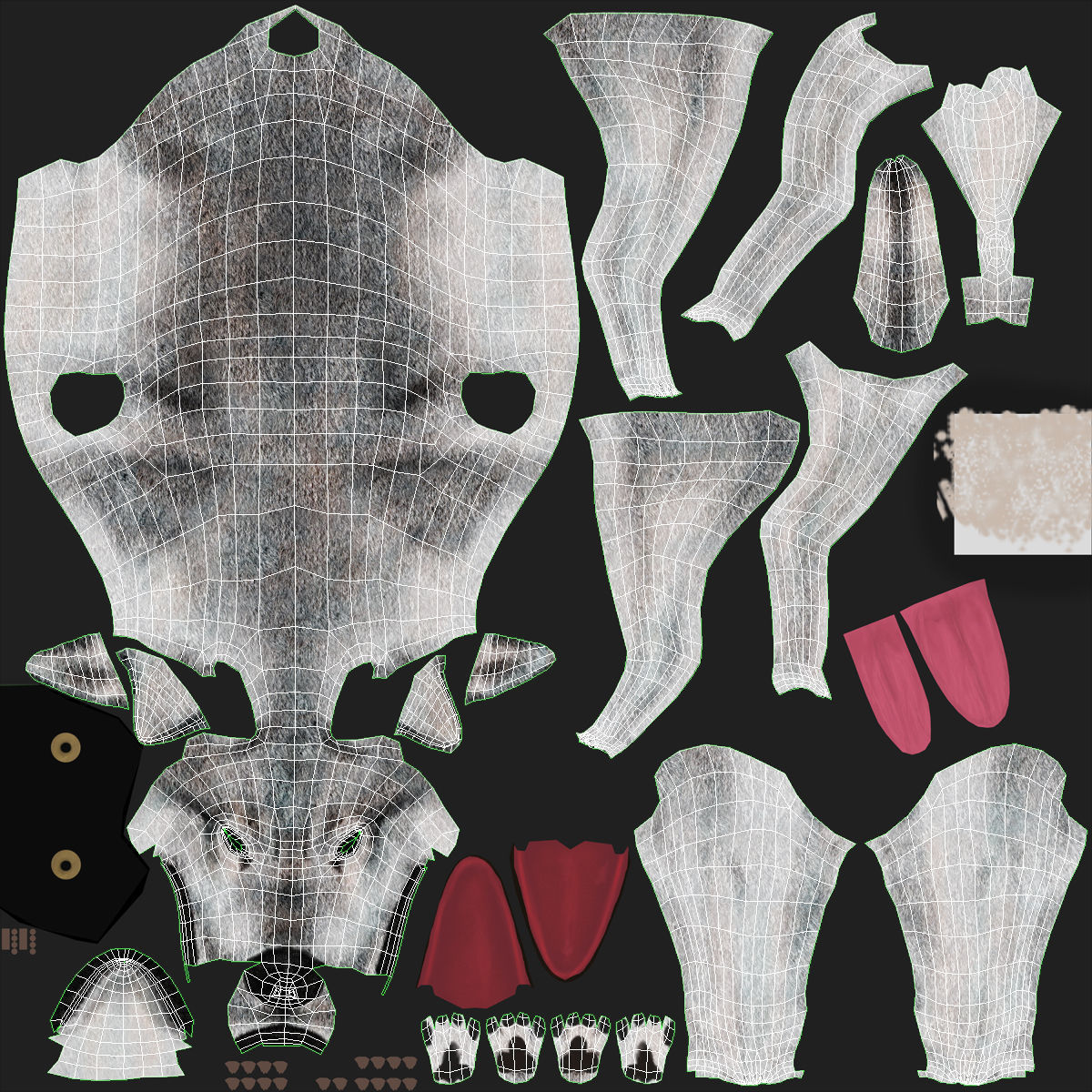 Wolf Grey Low-poly 3D model_30