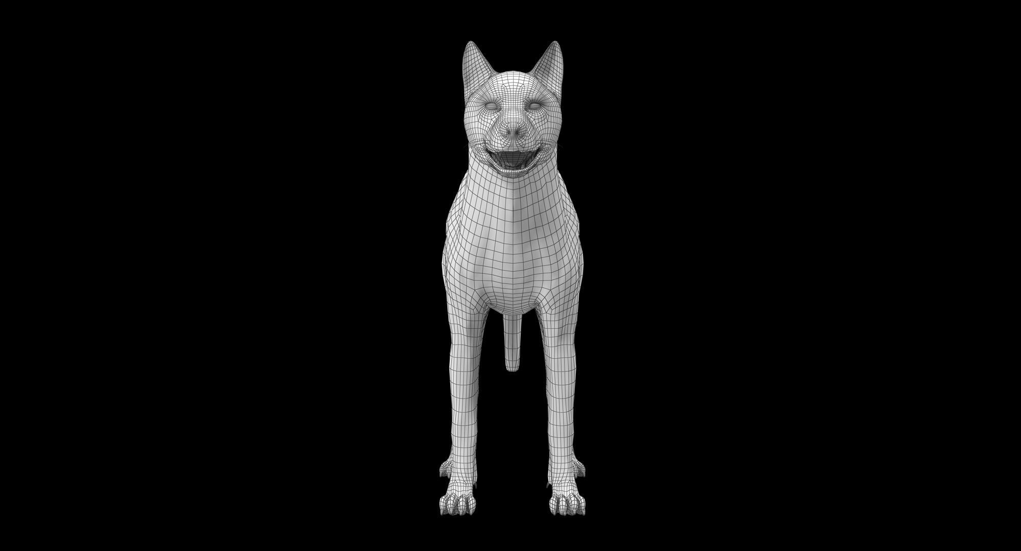 Wolf Grey Low-poly 3D model_25