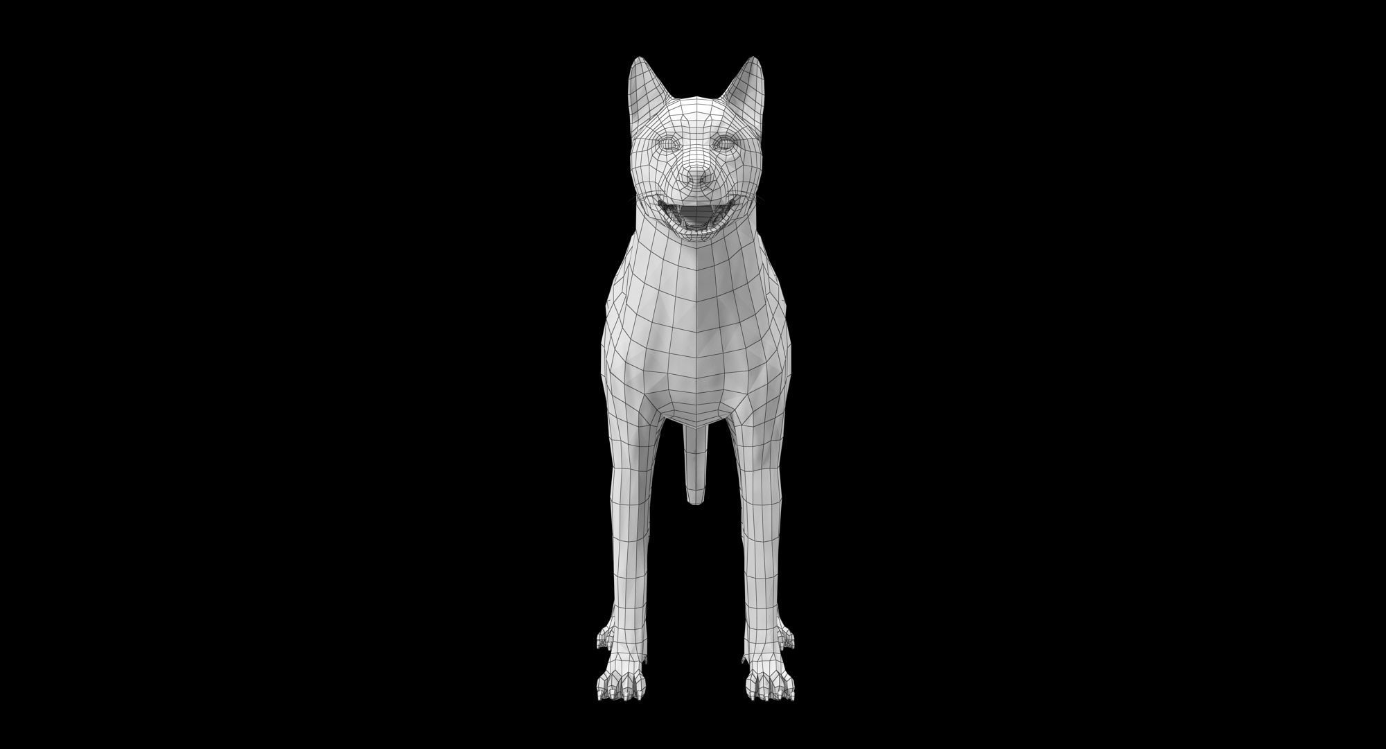 Wolf Grey Low-poly 3D model_24