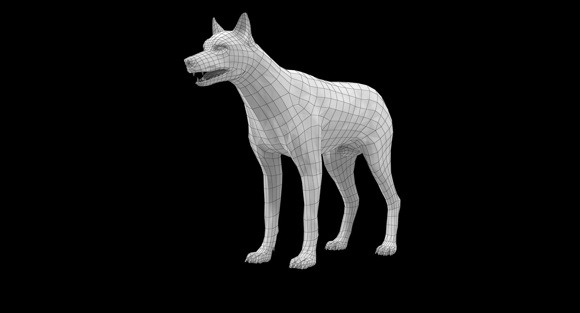 Wolf Grey Low-poly 3D model_16