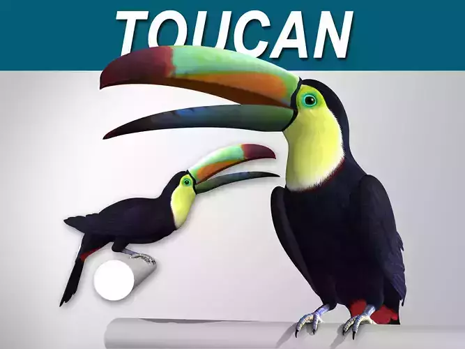 Toucan B - Folded Wings 3D model
