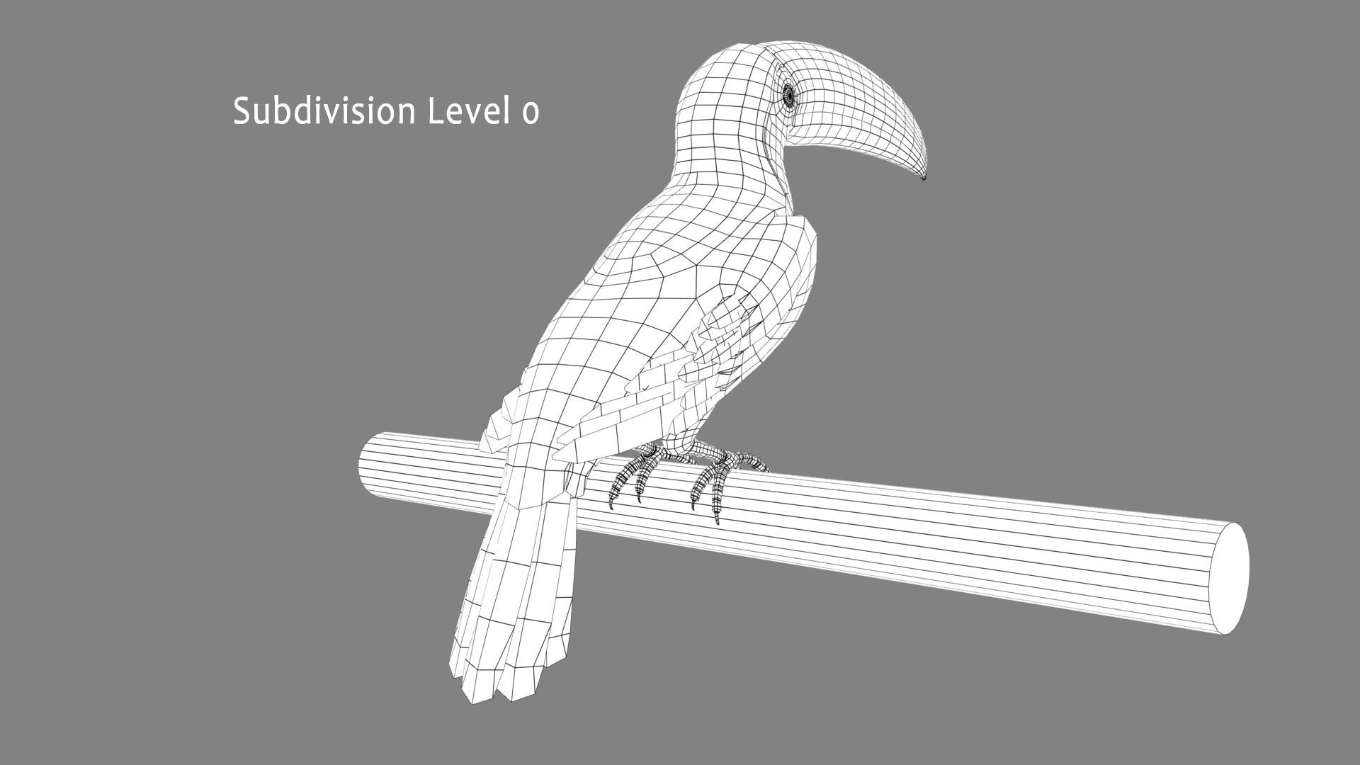 Toucan B - Folded Wings 3D model_10