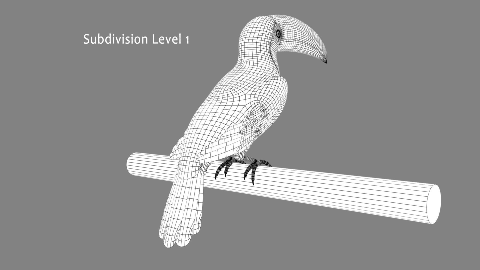 Toucan B - Folded Wings 3D model_11