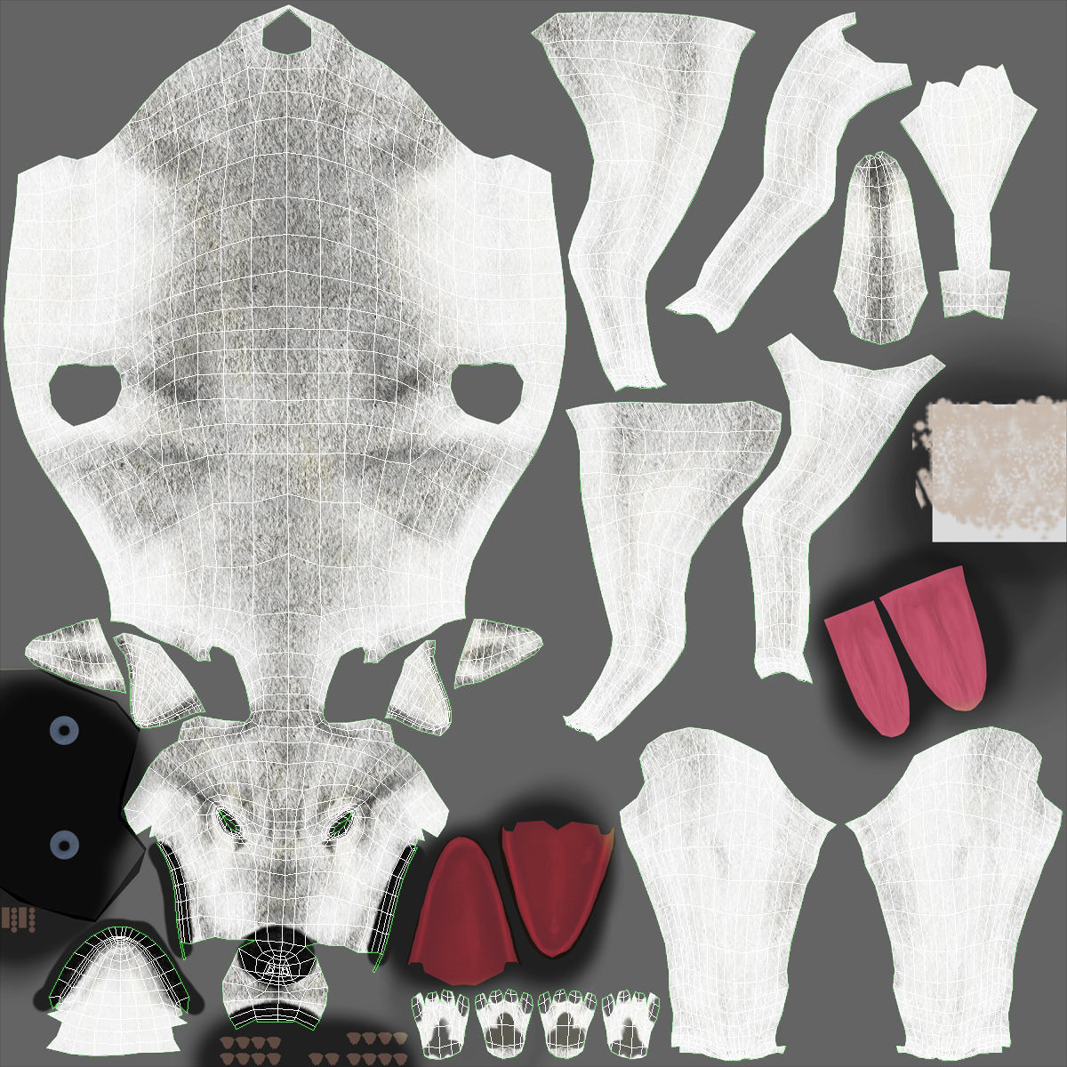 Wolf White Low-poly 3D model_30