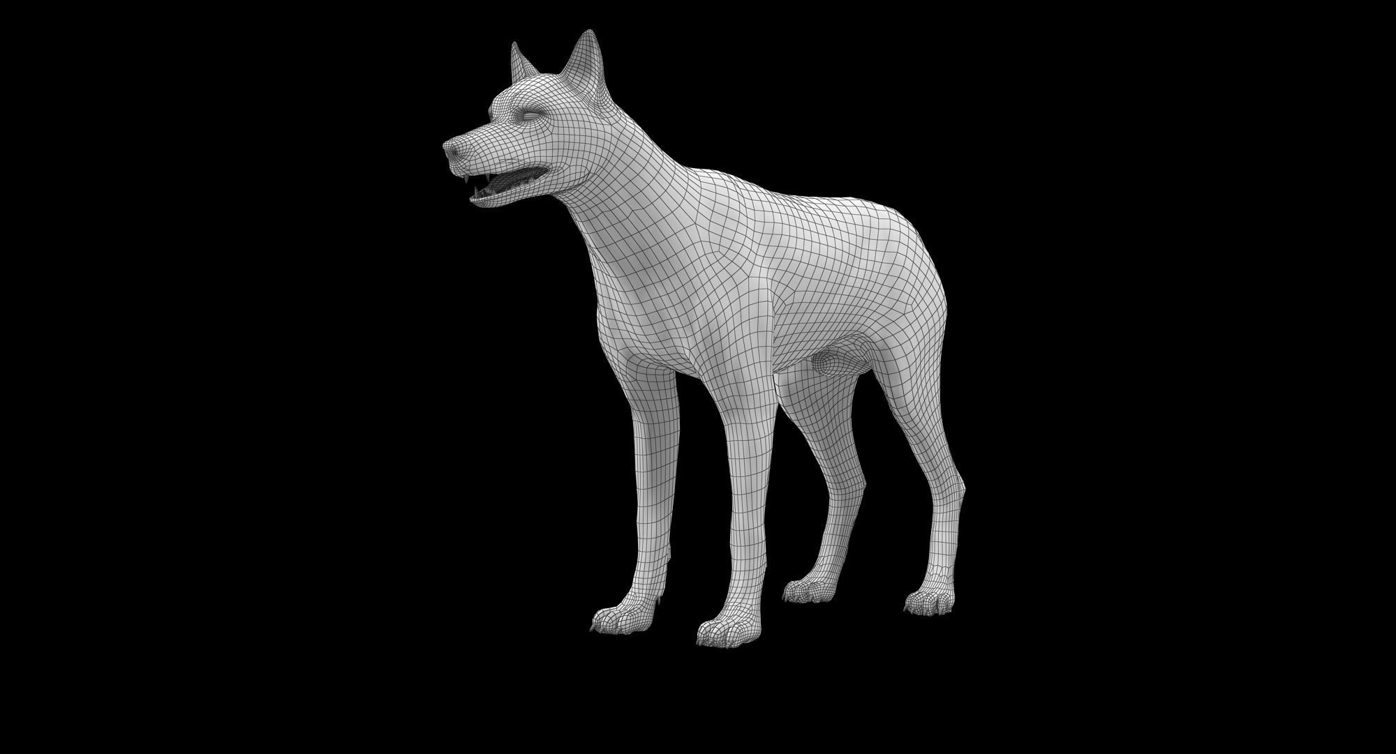 Wolf White Low-poly 3D model_17