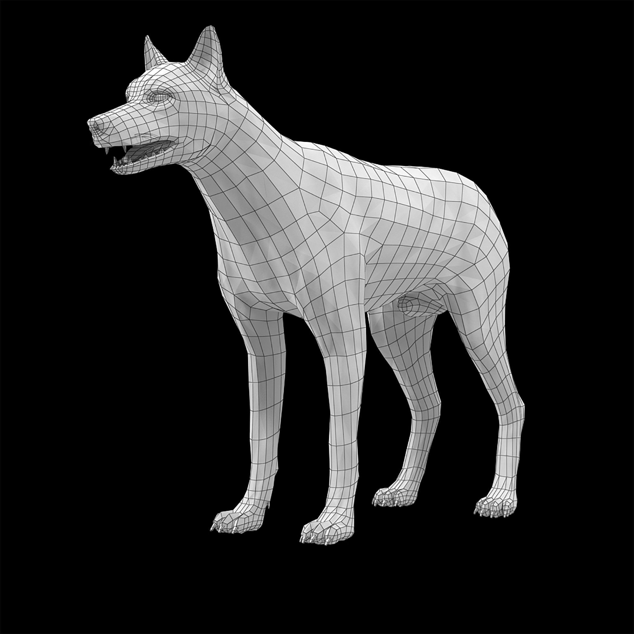 Wolf White Low-poly 3D model_27