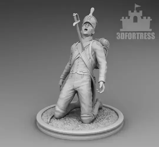 French wounded 3D print model