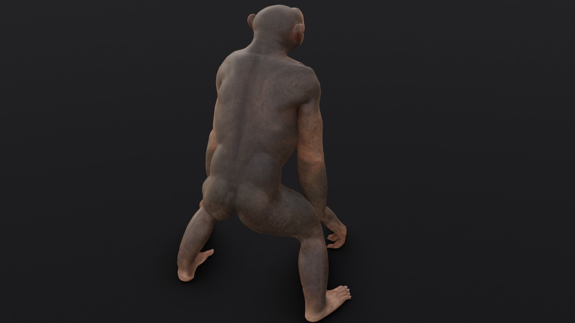 Animated Monkey 3D Model Low-poly 3D model_7