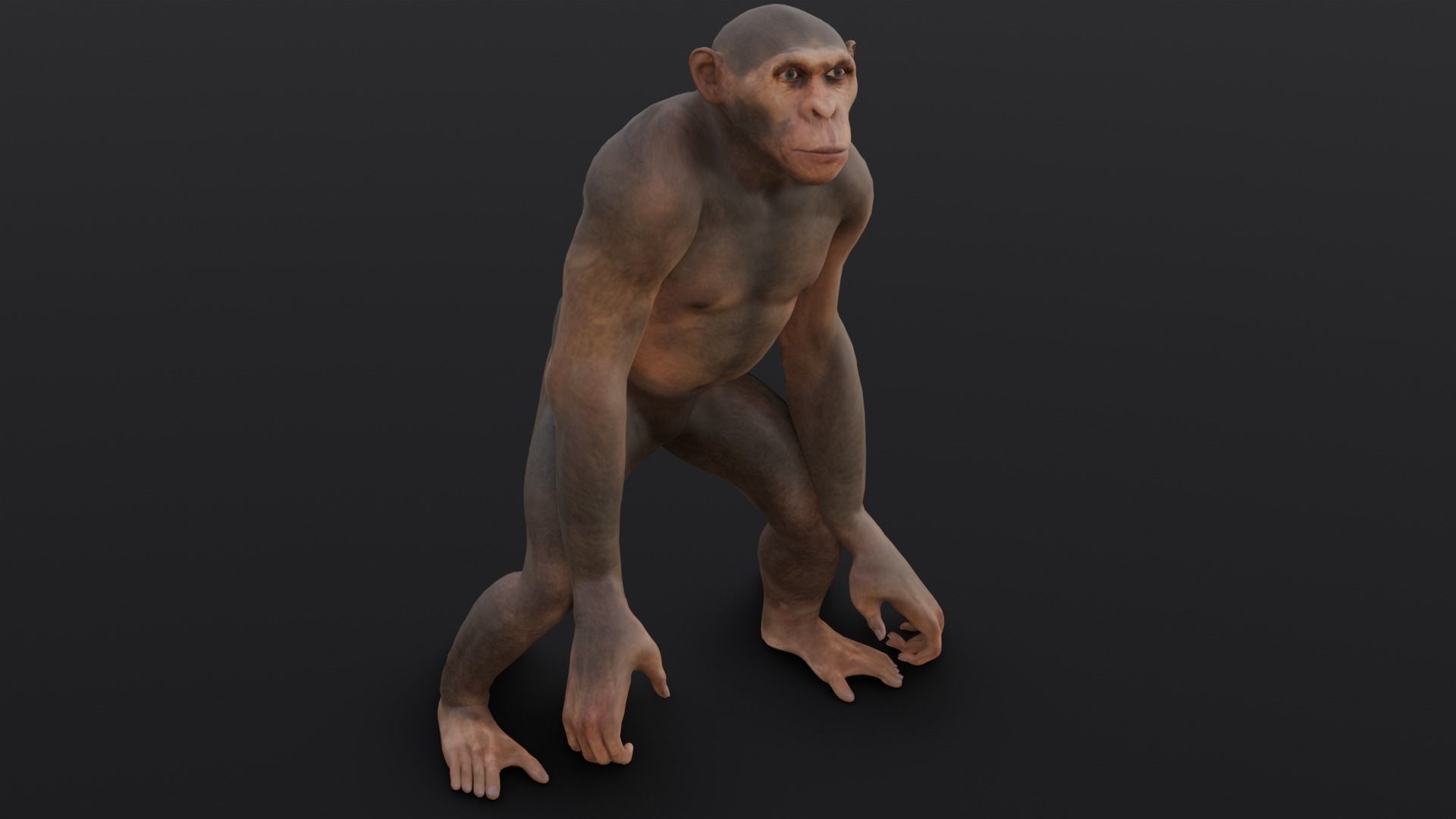 Animated Monkey 3D Model Low-poly 3D model_8