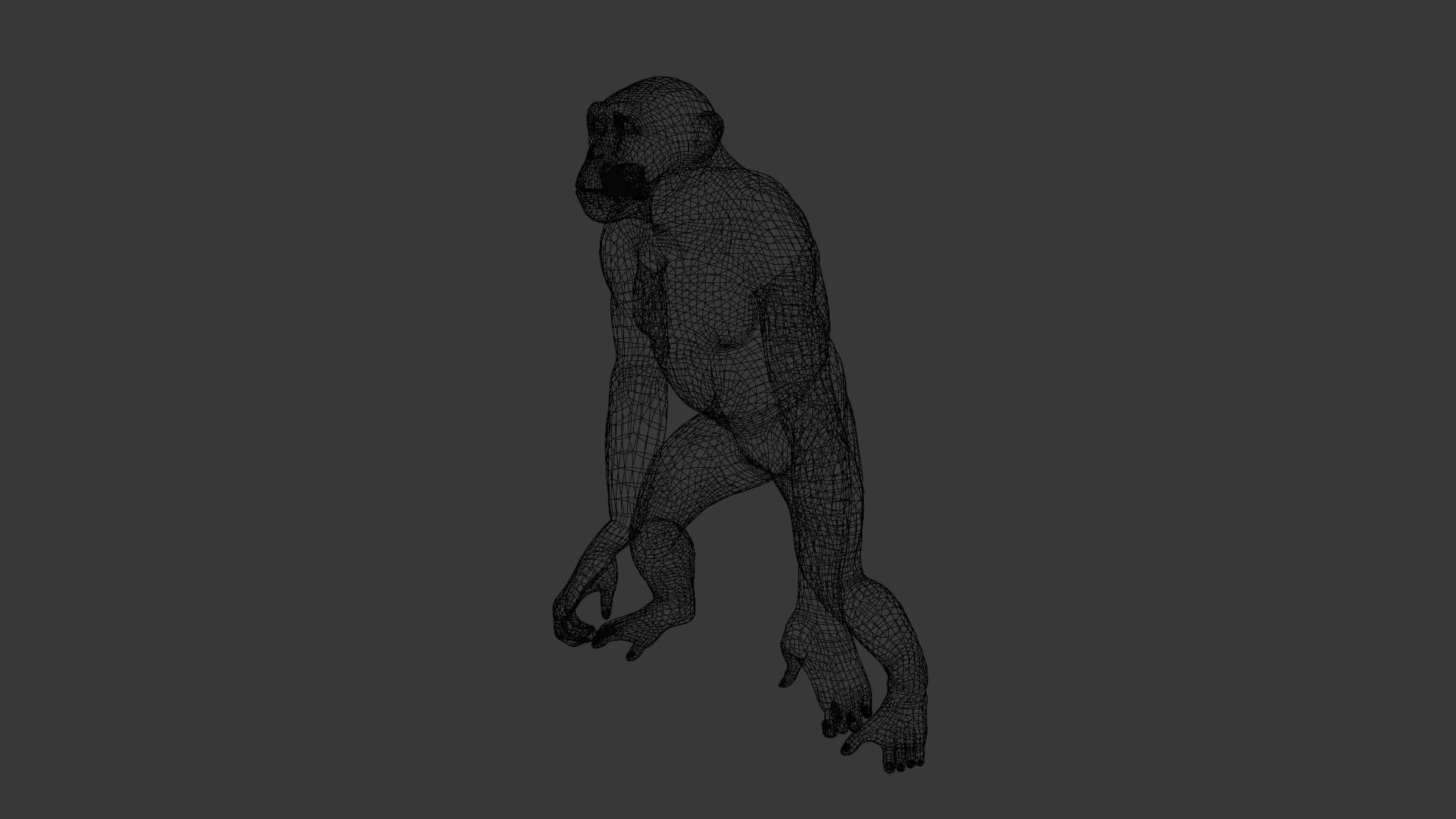 Animated Monkey 3D Model Low-poly 3D model_12