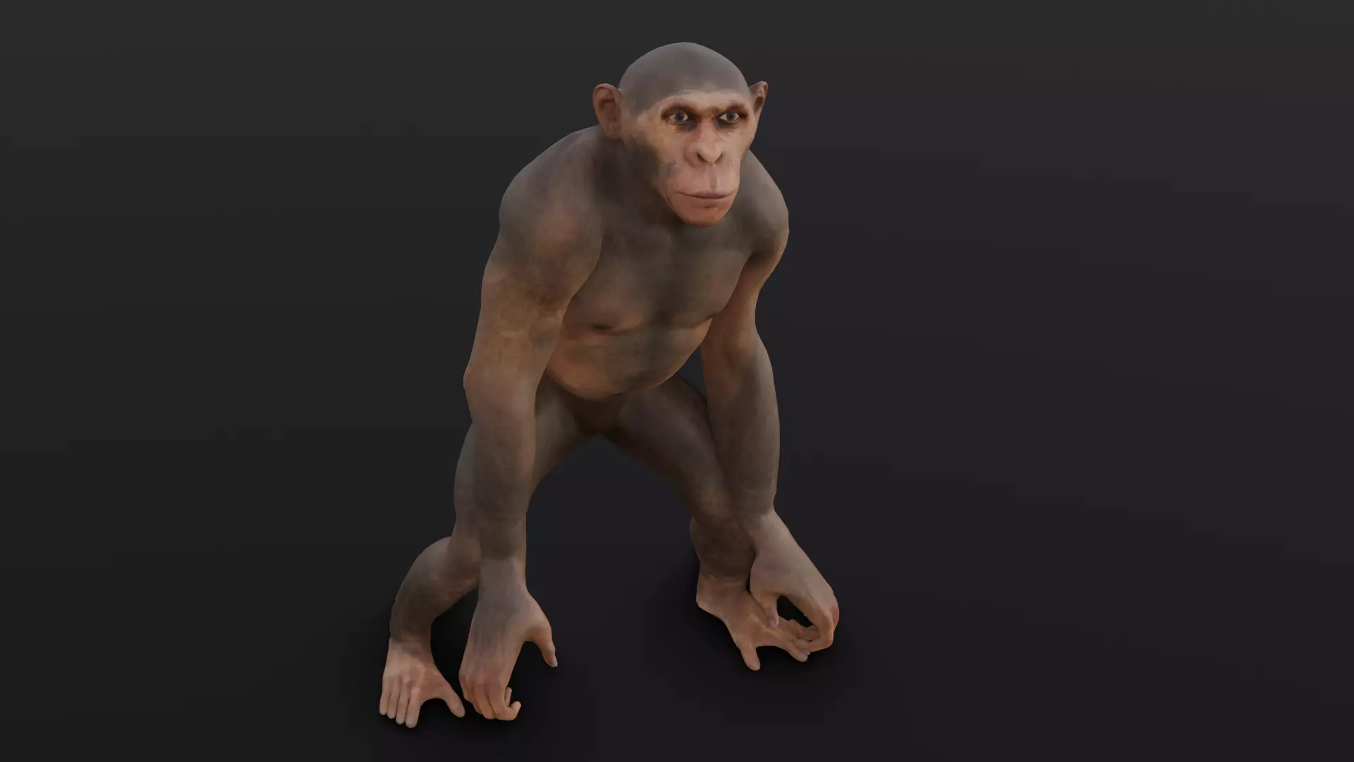 Animated Monkey 3D Model Low-poly 3D model_0