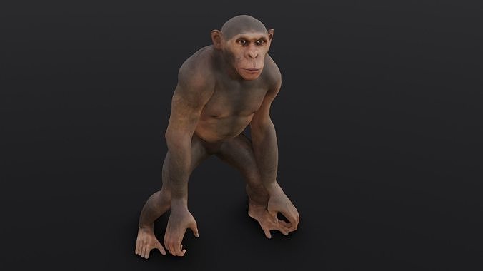 Animated Monkey 3D Model Low-poly 3D model