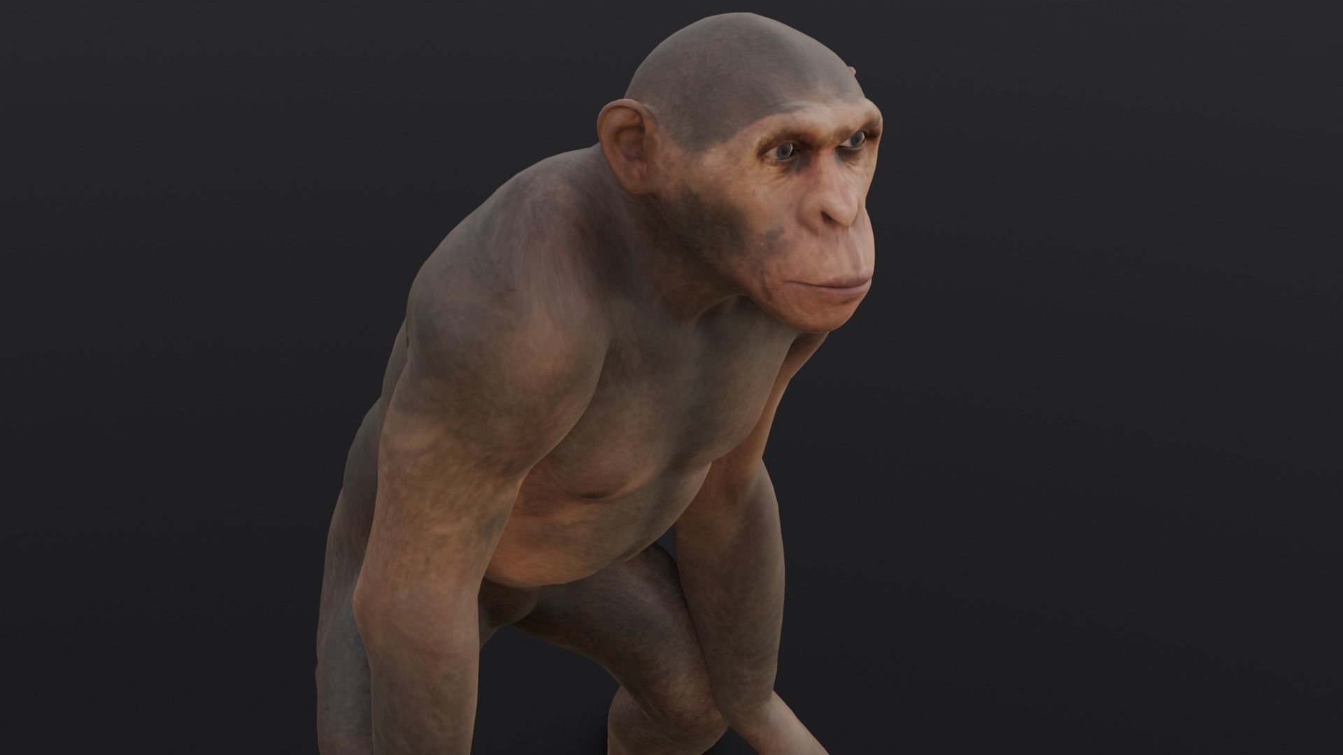 Animated Monkey 3D Model Low-poly 3D model_3