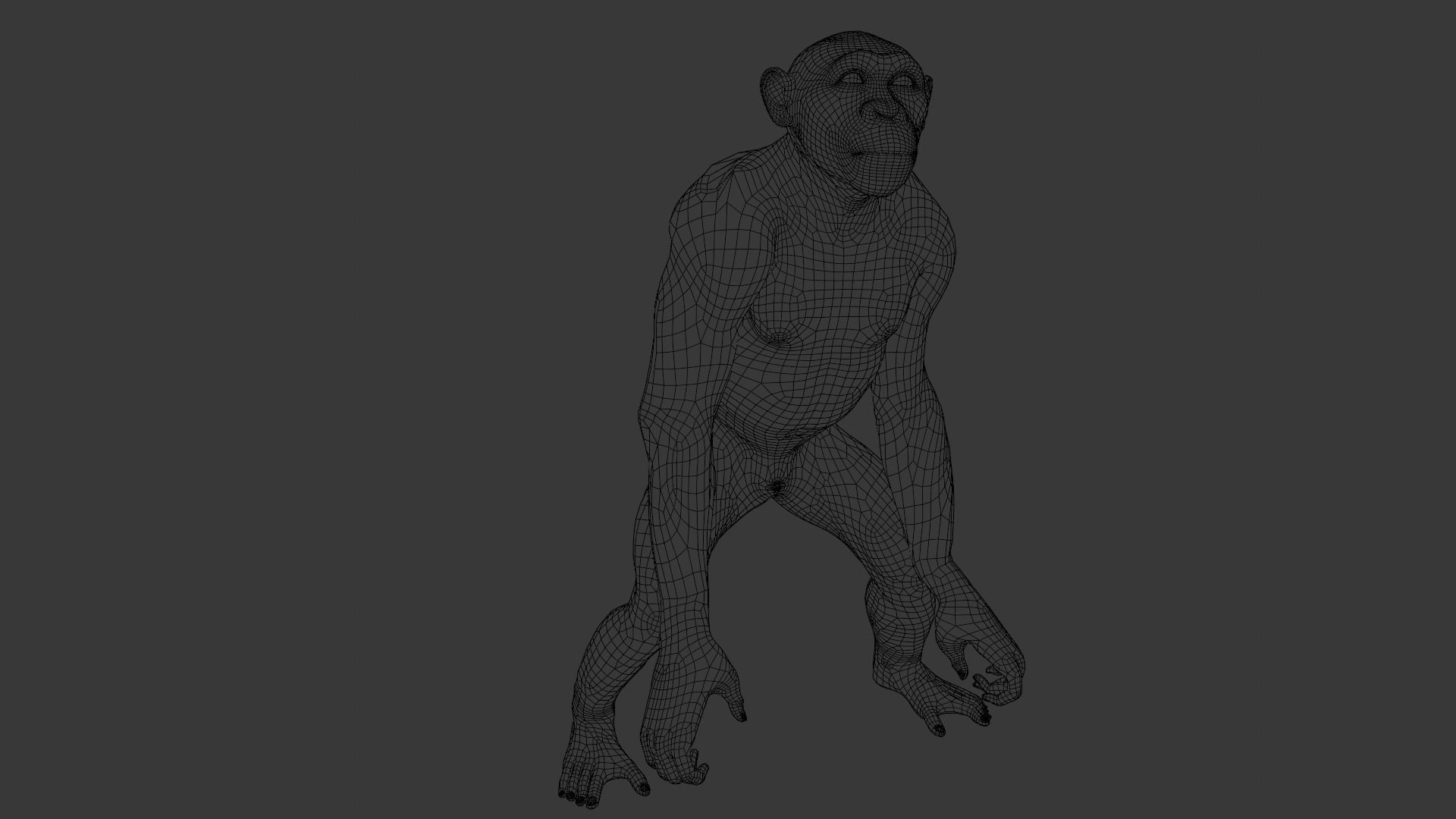 Animated Monkey 3D Model Low-poly 3D model_17