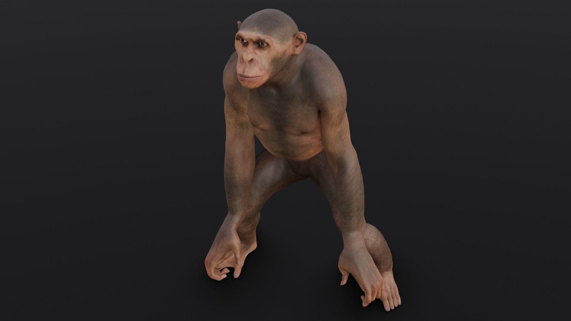 Animated Monkey 3D Model Low-poly 3D model_4
