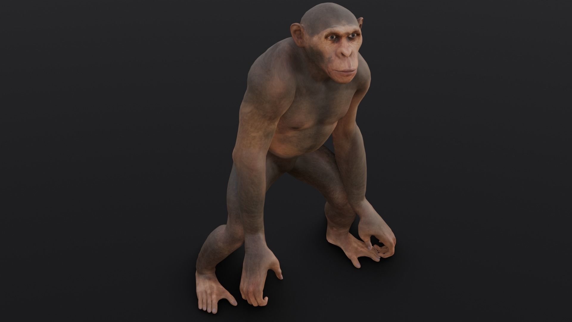 Animated Monkey 3D Model Low-poly 3D model_1
